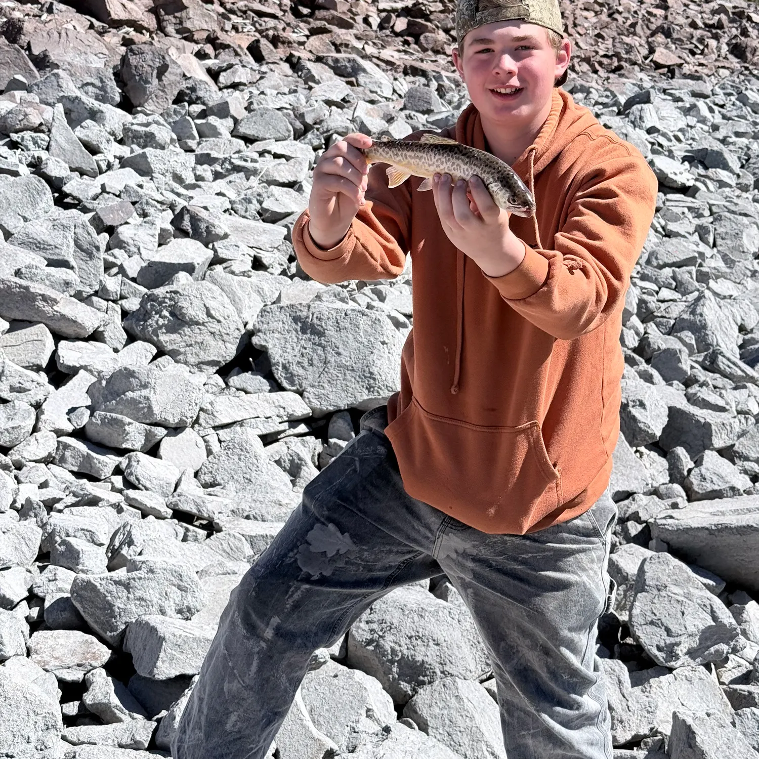 The most recent Tiger trout catches on Fishbrain