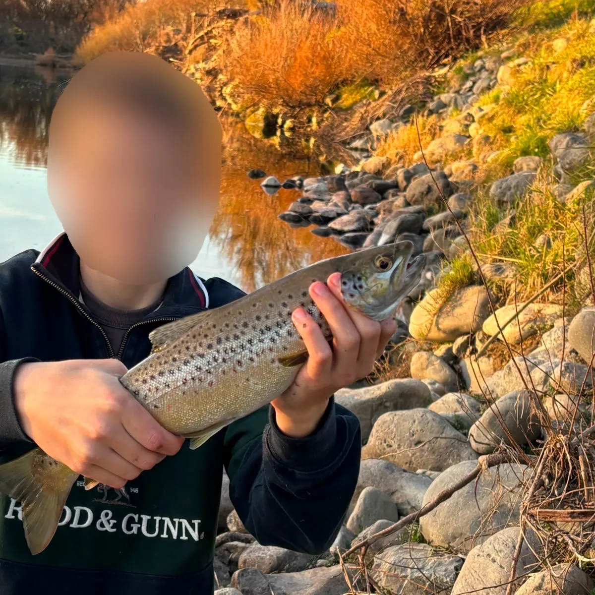 Brown trout caught on Fishbrain