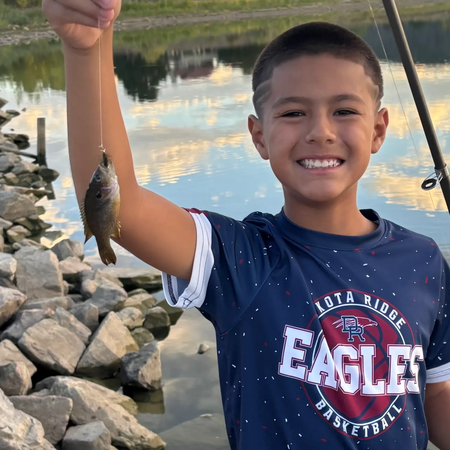 Green sunfish caught on Fishbrain