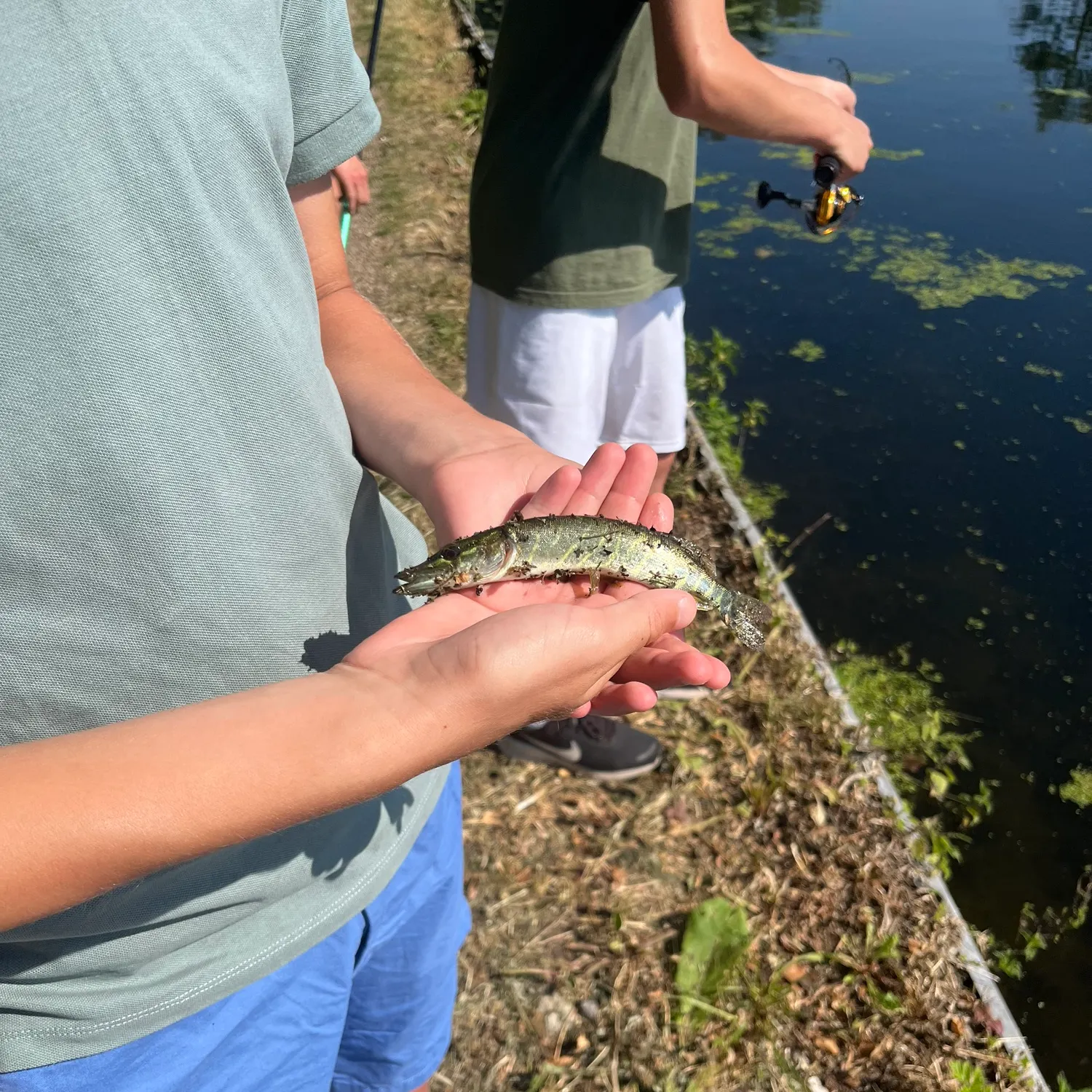 catch
