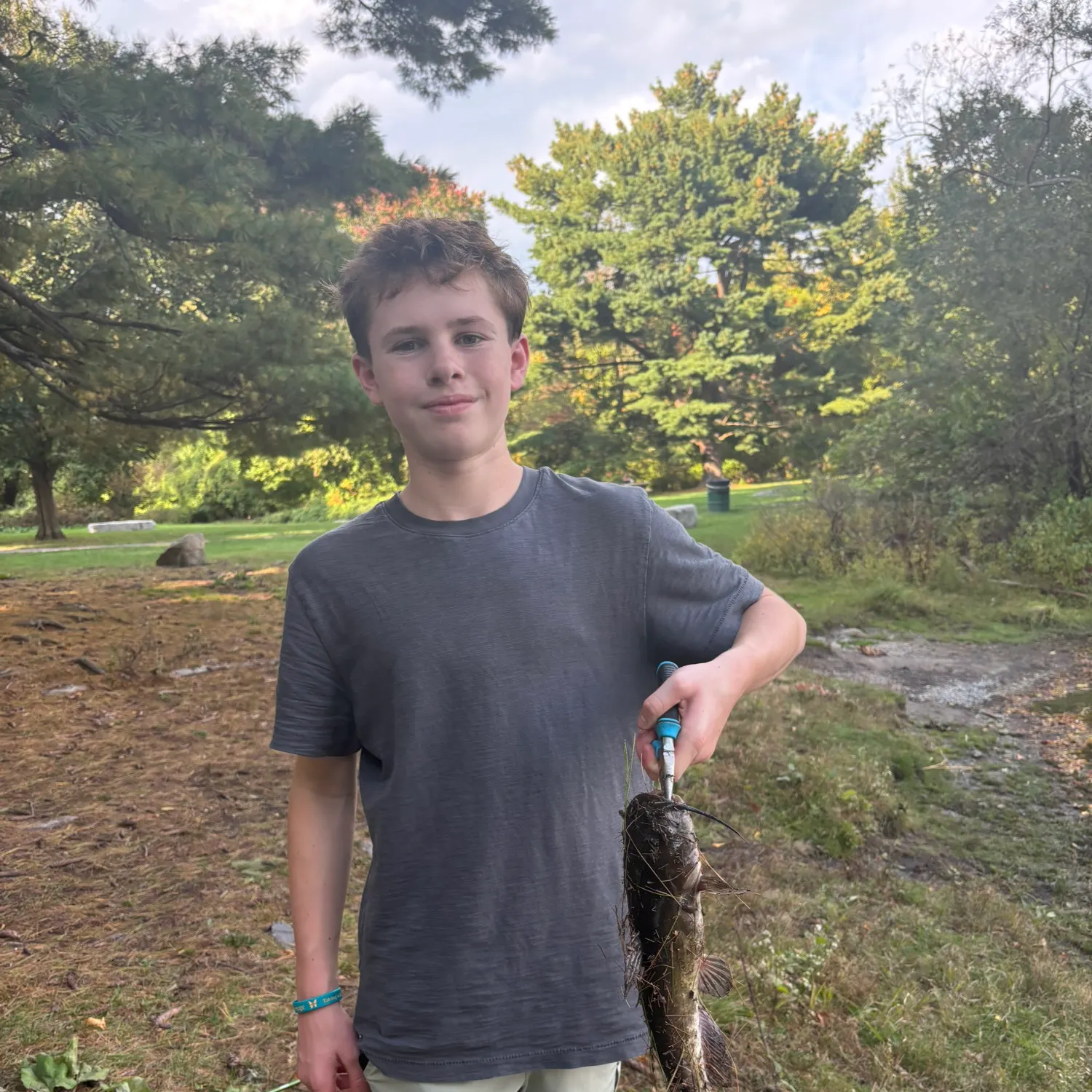 Channel catfish caught on Fishbrain