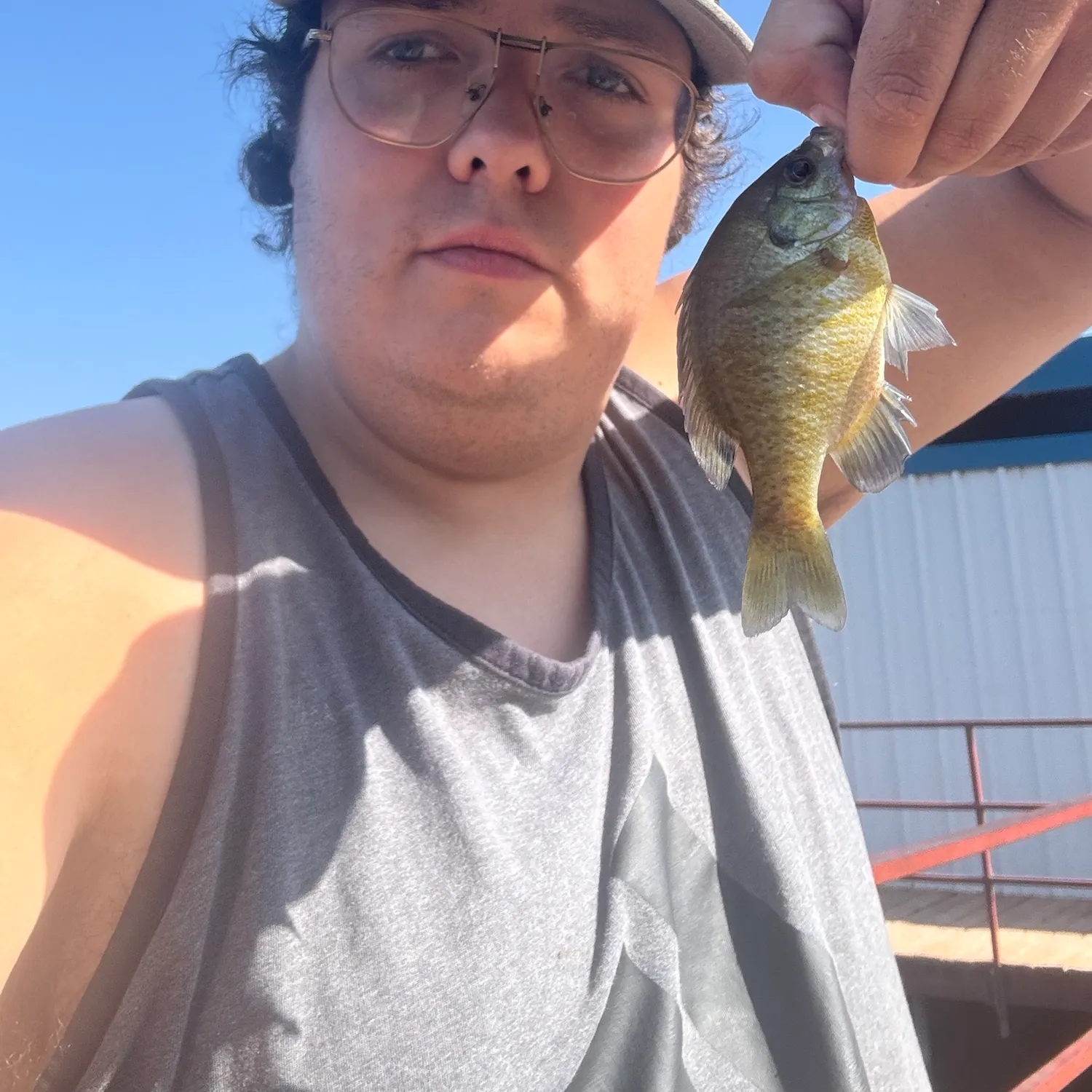 Fish caught on Fishbrain