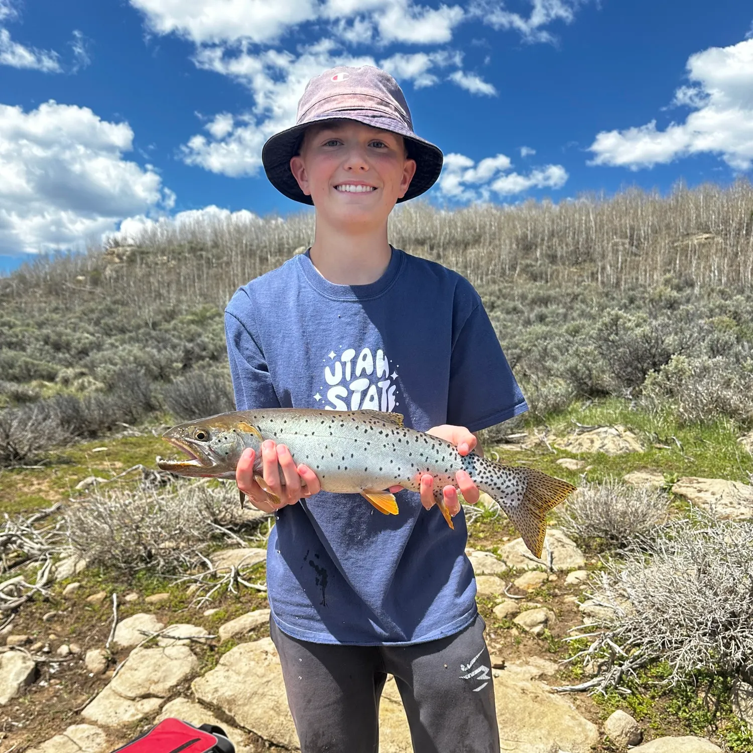 most liked catch image