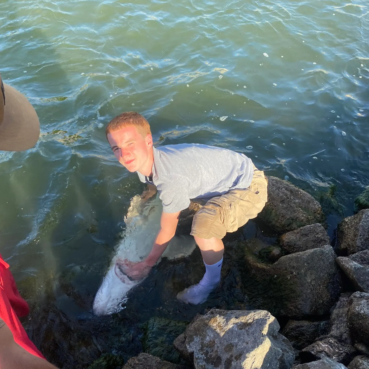 catch