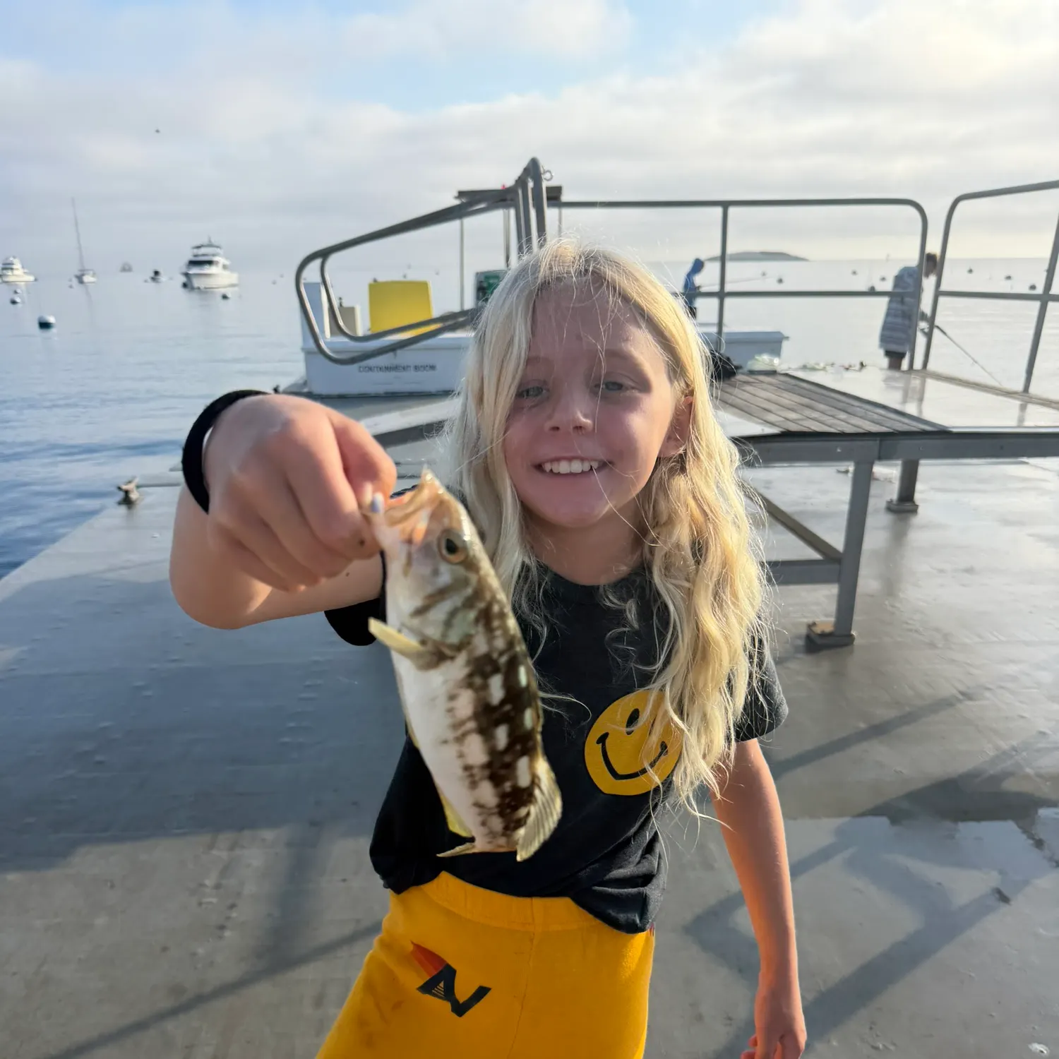 Kelp bass caught on Fishbrain