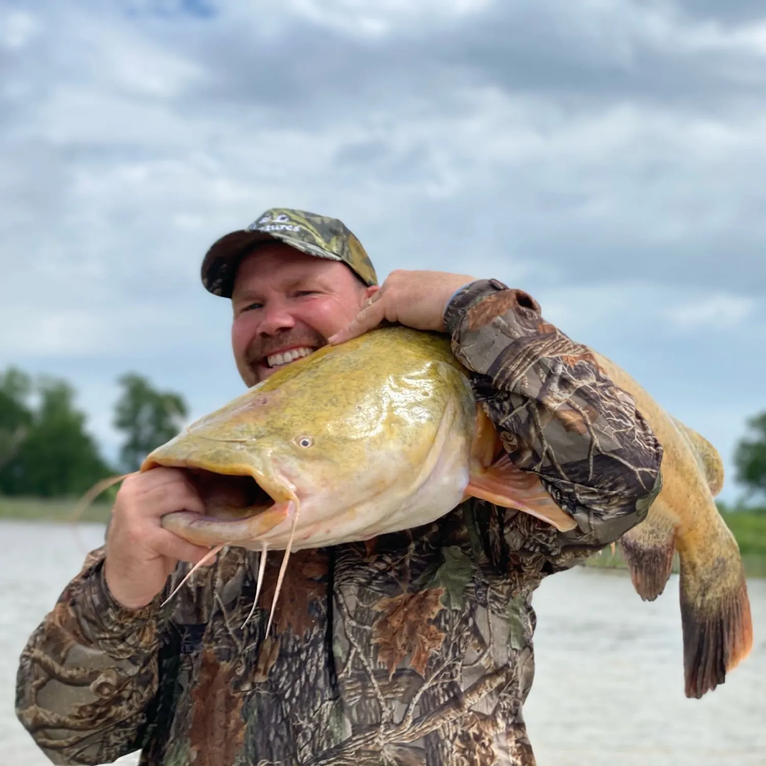 The most popular recent Flathead catfish catch on Fishbrain