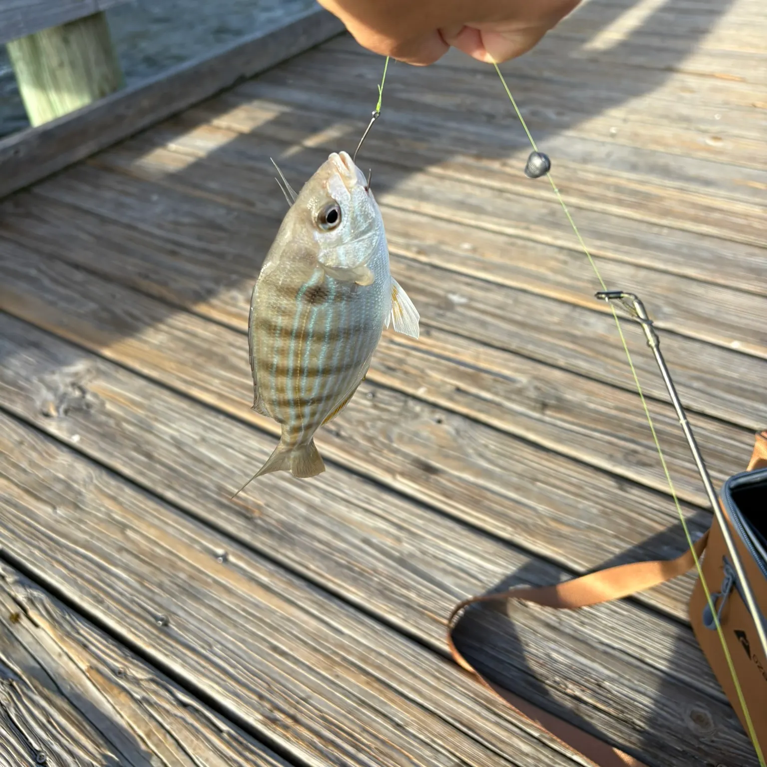 catch