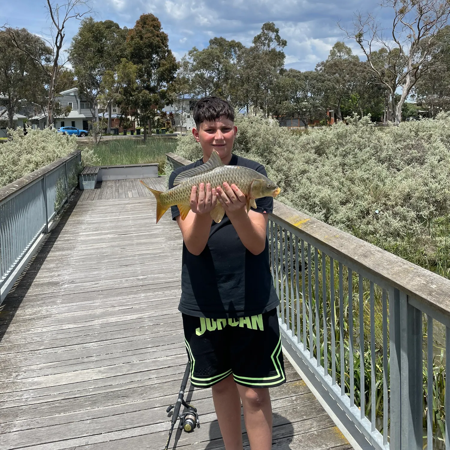 Common carp caught on Fishbrain