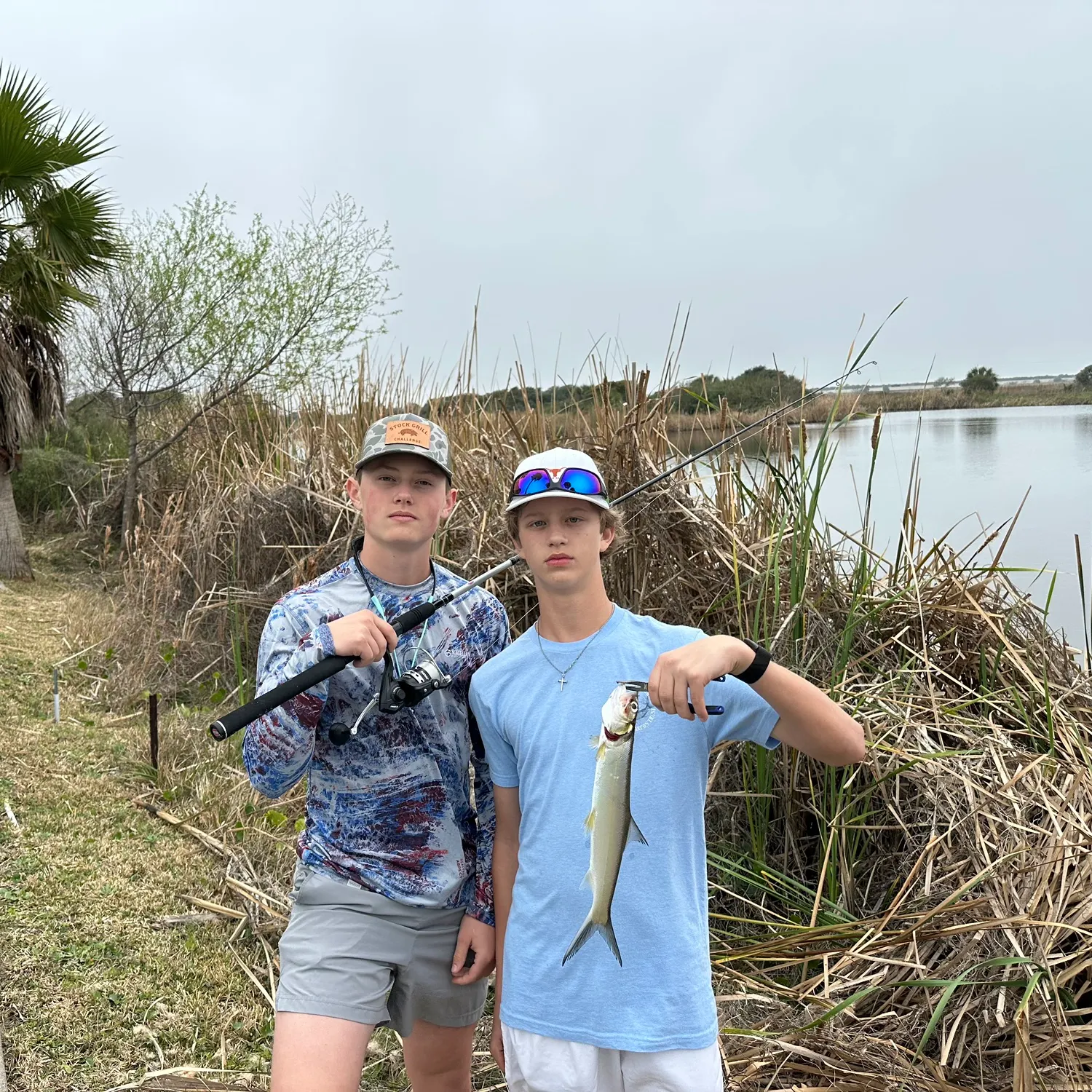 The most recent Thinlip grey mullet catches on Fishbrain