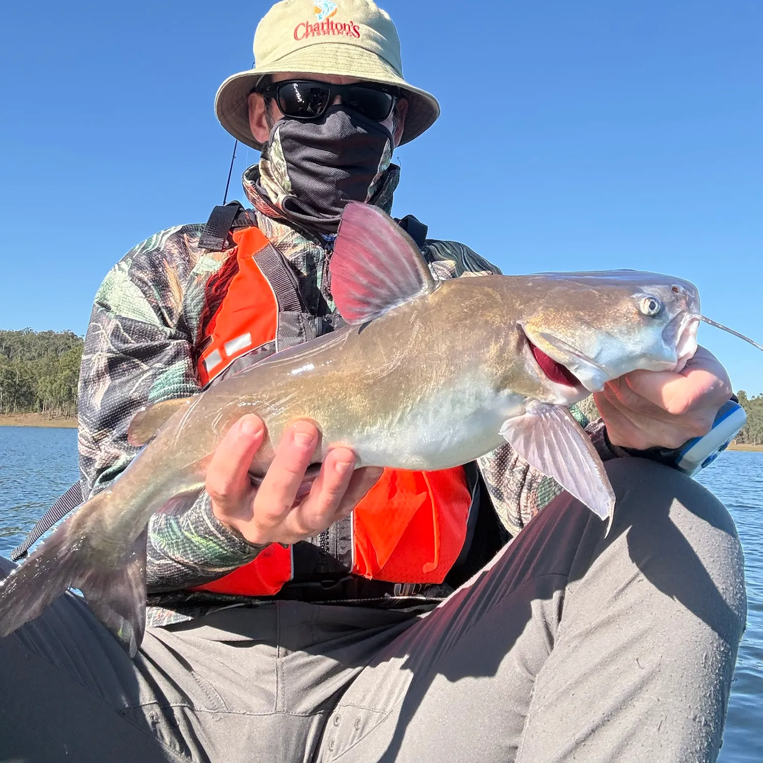 The most recent Blue salmon catfish catches on Fishbrain