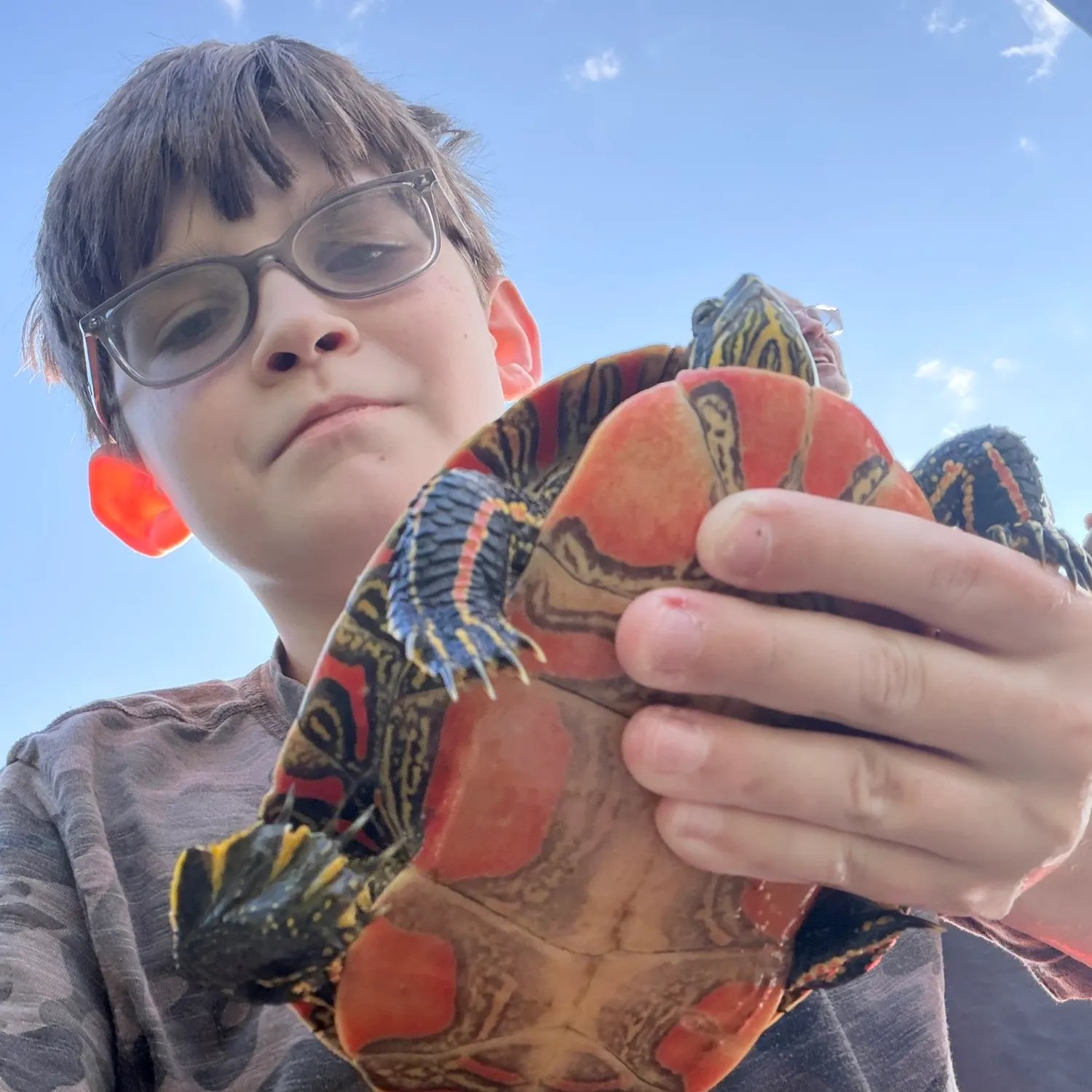 Painted turtle caught on Fishbrain