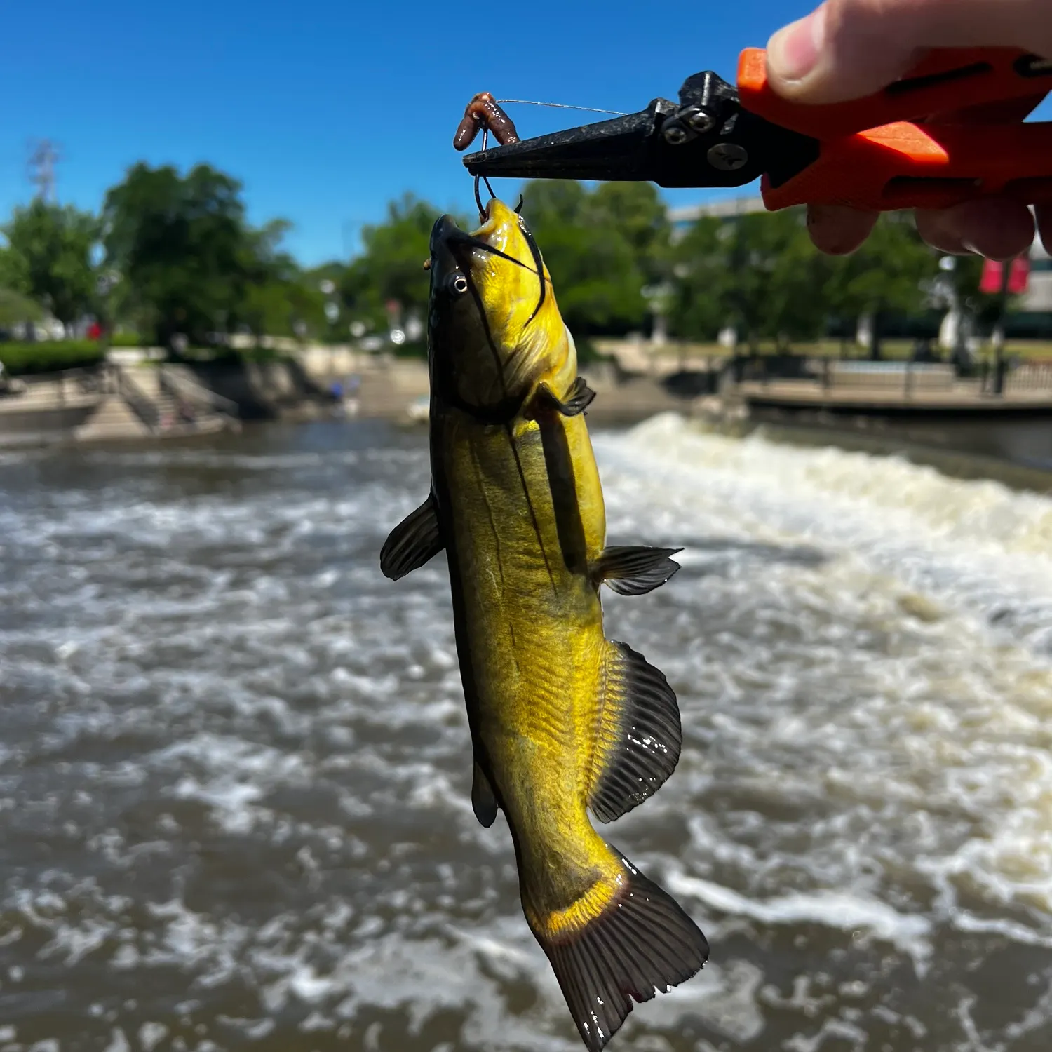 catch