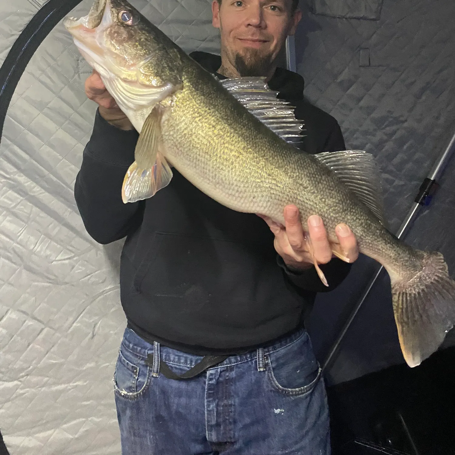 The most recent Walleye catches on Fishbrain