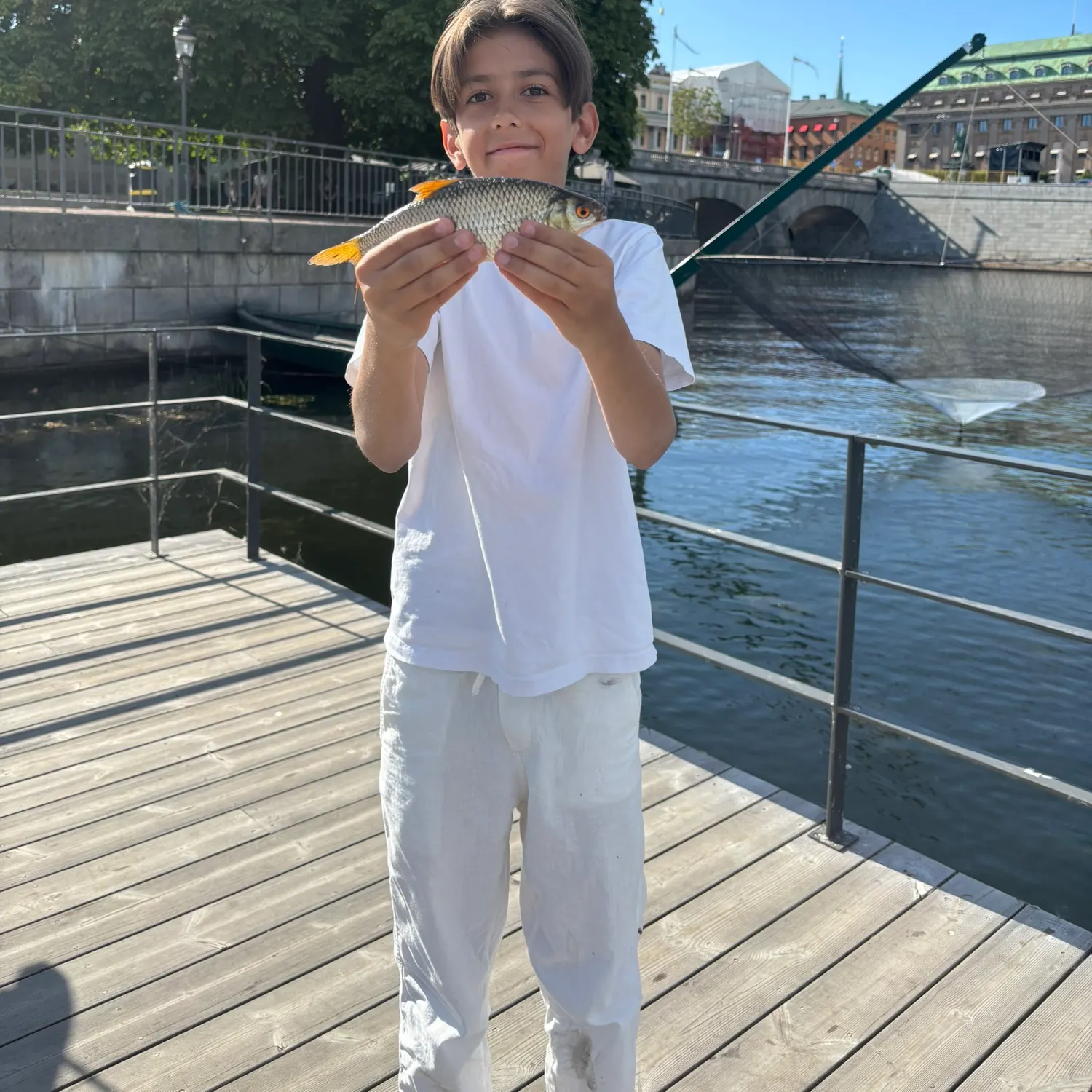 Common roach caught on Fishbrain
