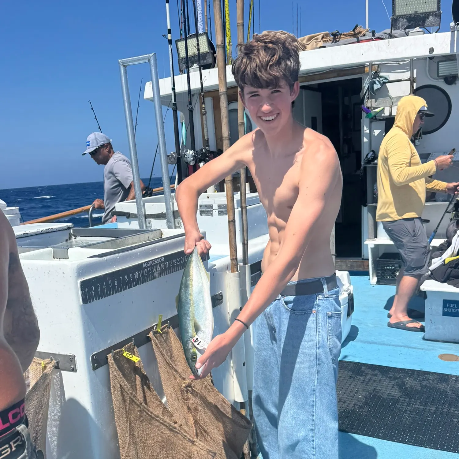 California yellowtail amberjack caught on Fishbrain