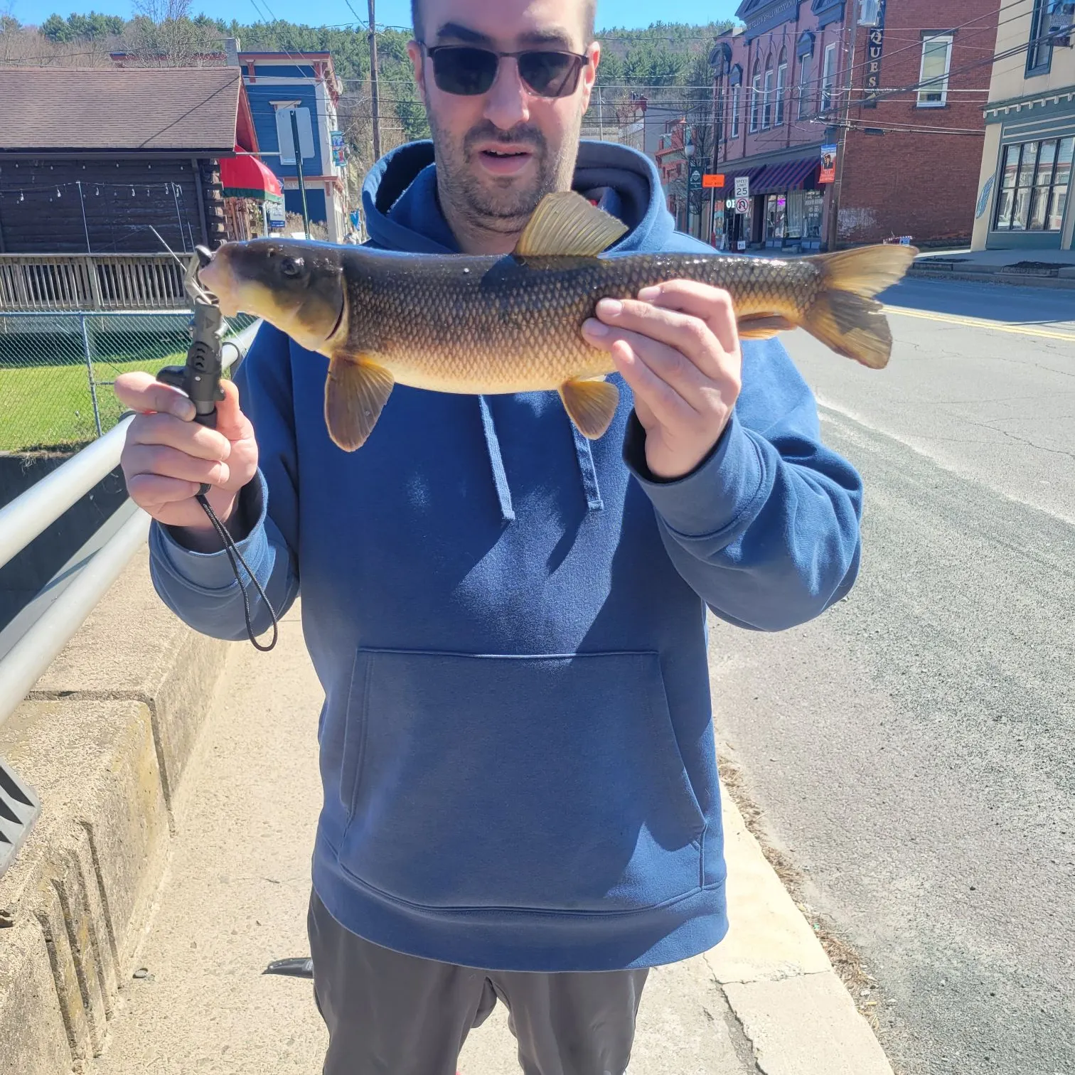 The most recent Silver redhorse catches on Fishbrain