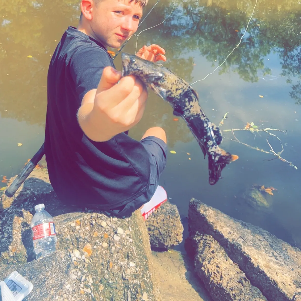 Flathead catfish caught on Fishbrain