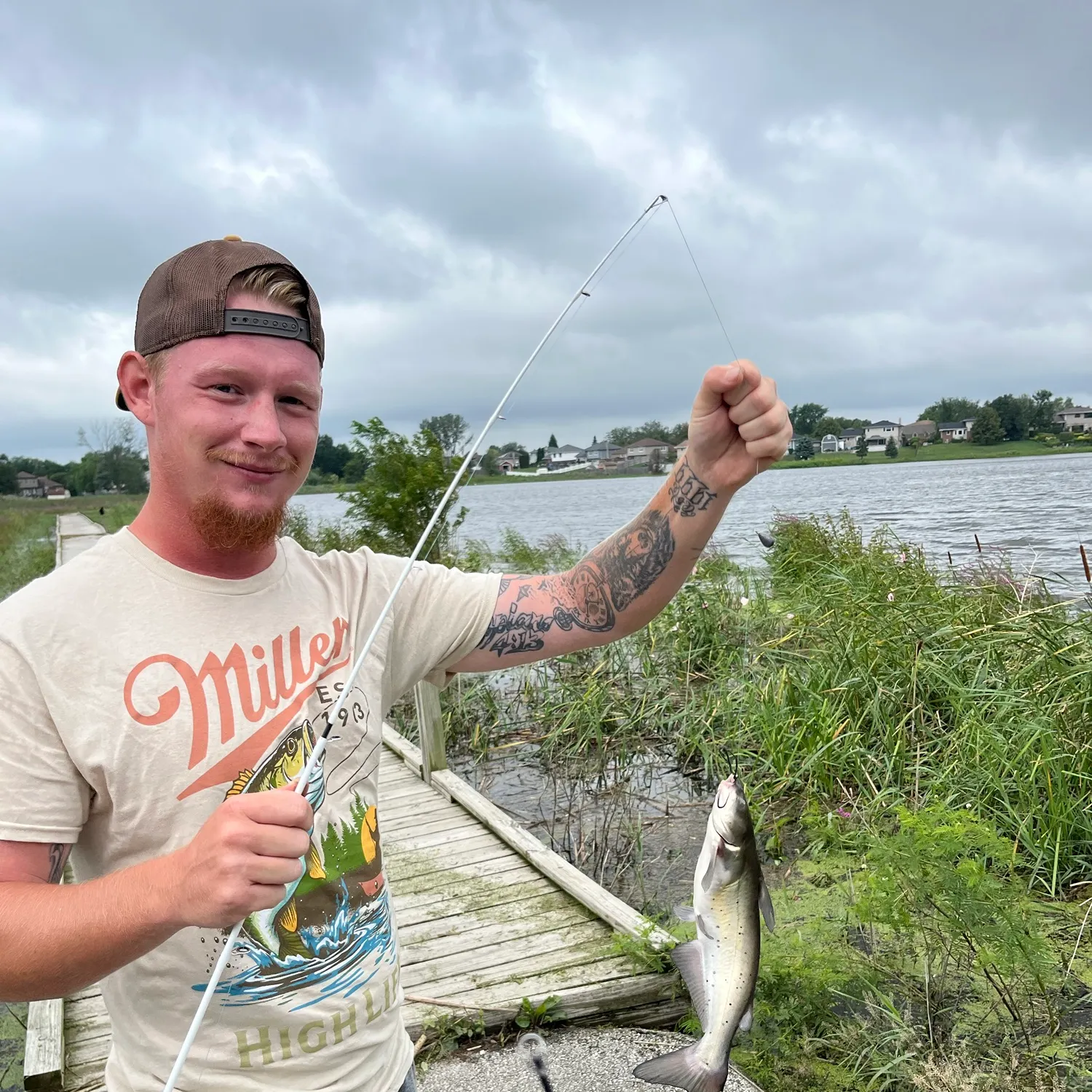 Channel catfish caught on Fishbrain
