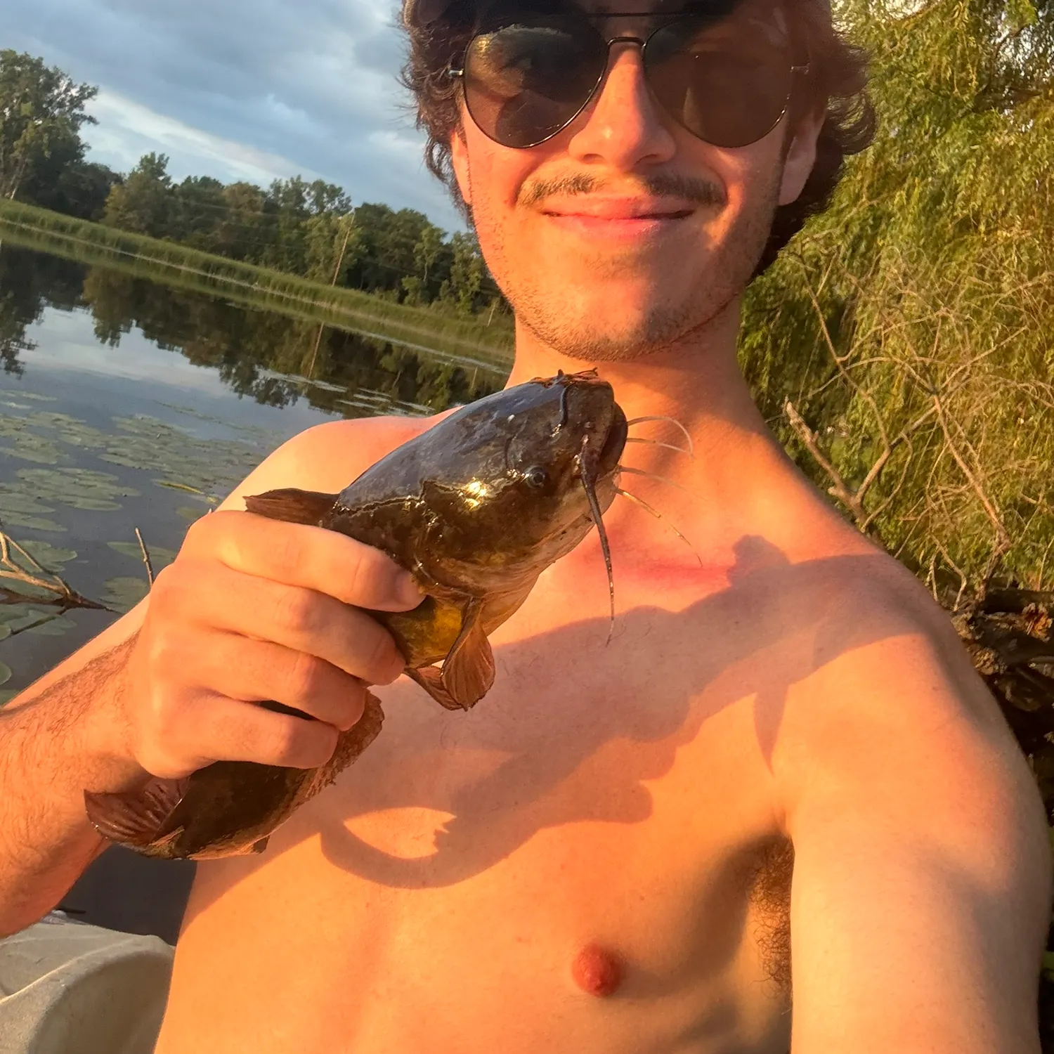 Black bullhead caught on Fishbrain
