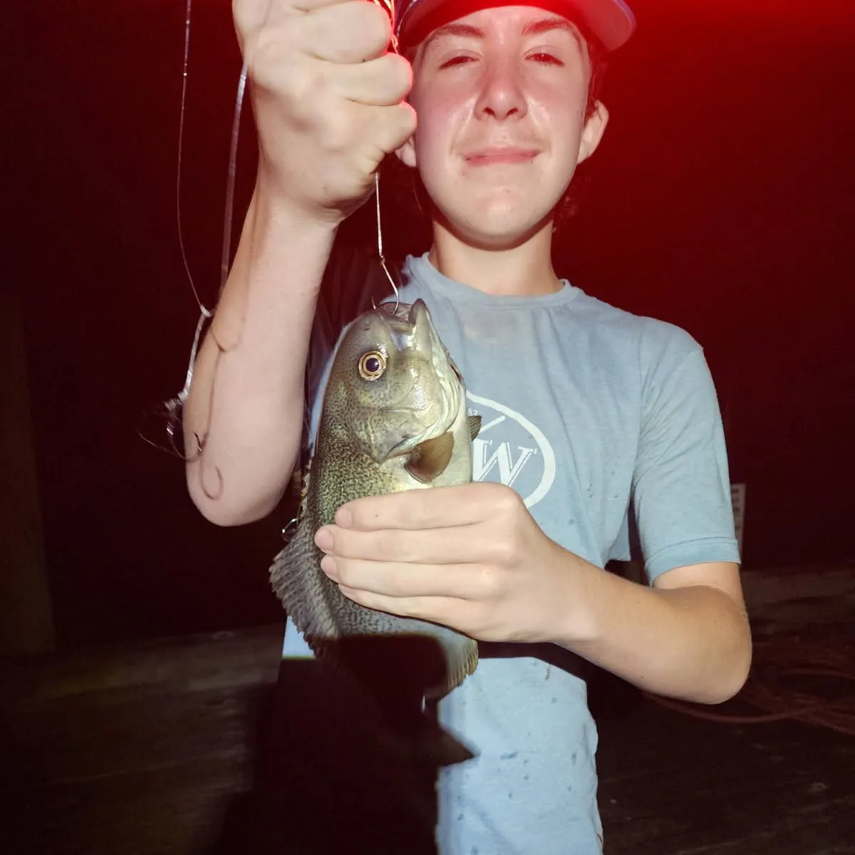 The most recent Barrelfish catches on Fishbrain