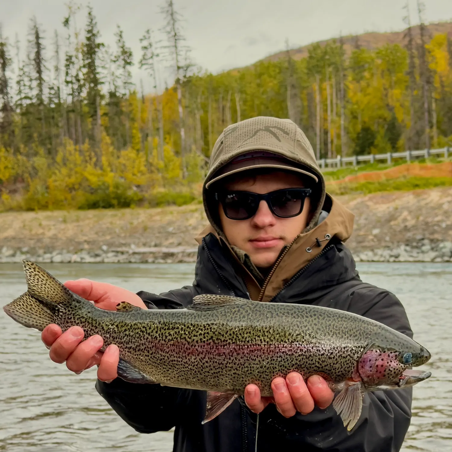 Rainbow trout caught on Fishbrain
