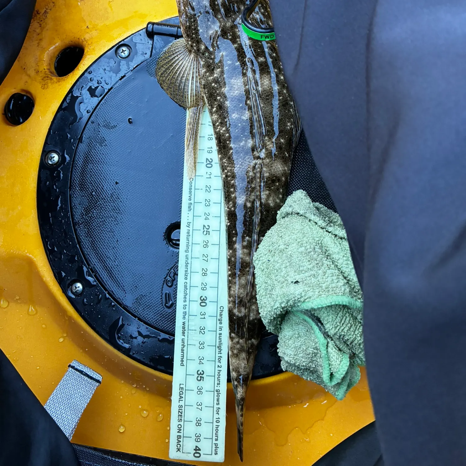 recently logged catches