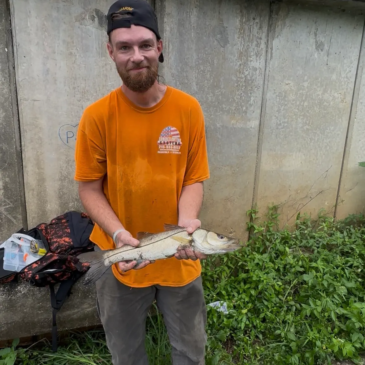 Common snook caught on Fishbrain