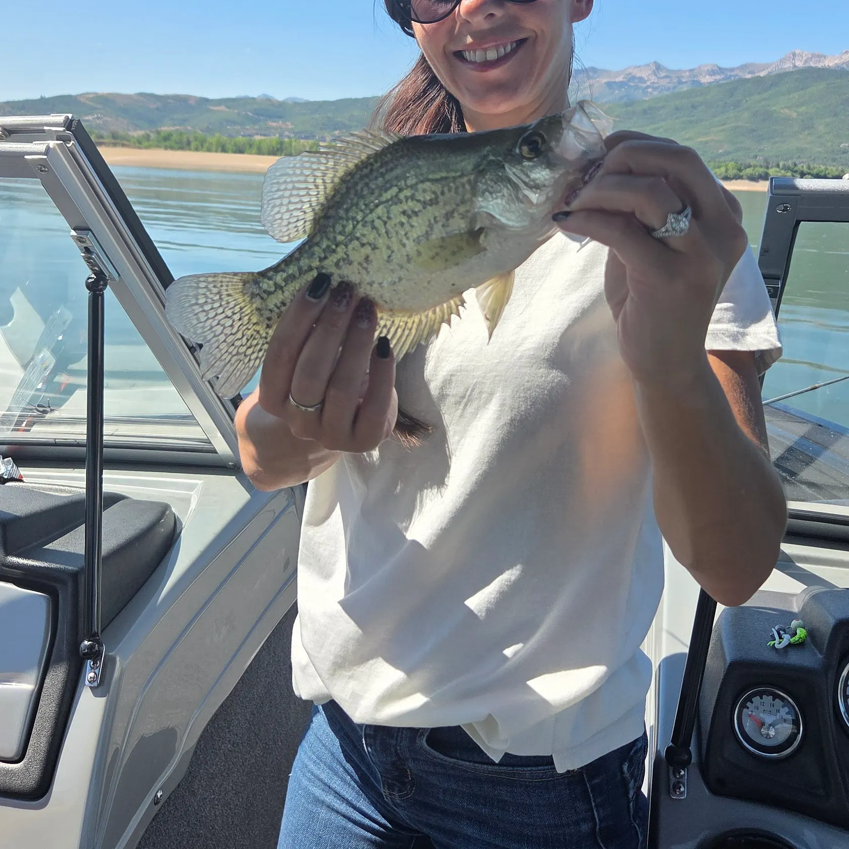 The most recent White crappie catches on Fishbrain