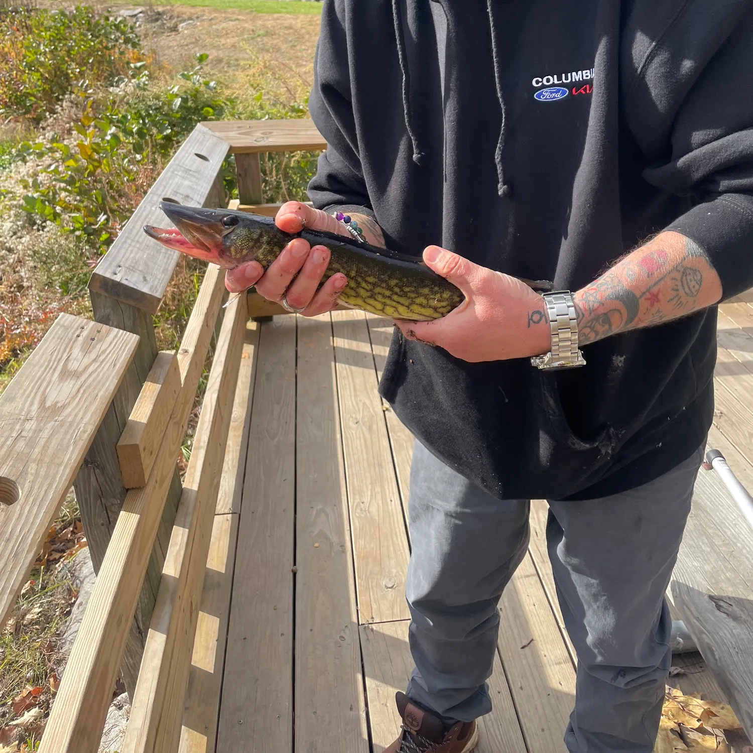 recently logged catches