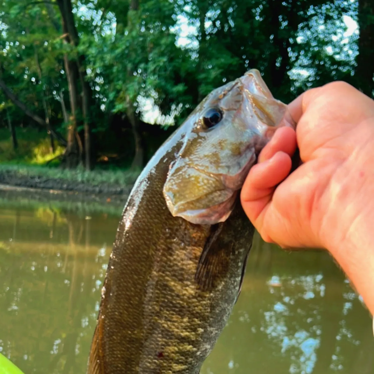 angler catch