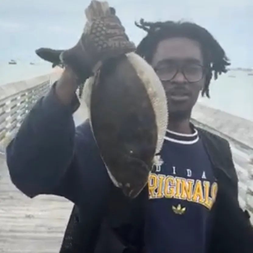 The most recent Winter flounder catches on Fishbrain