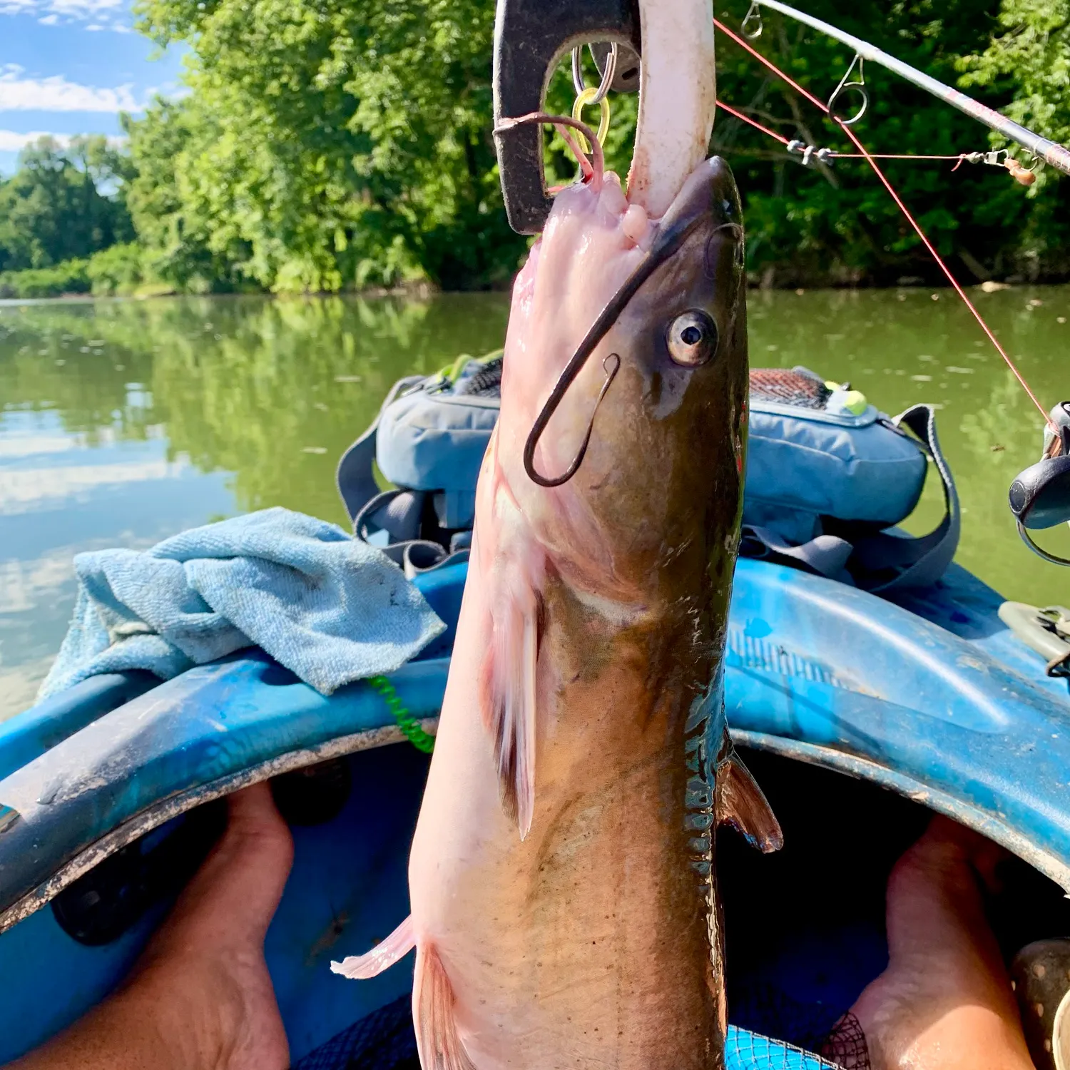 catch