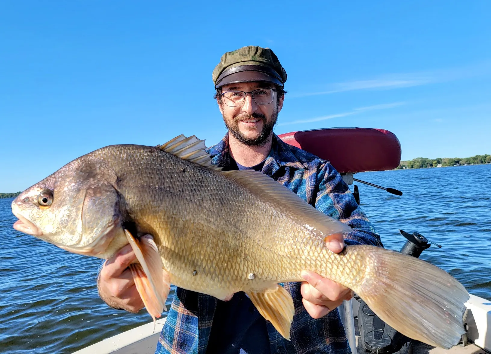 Freshwater drum