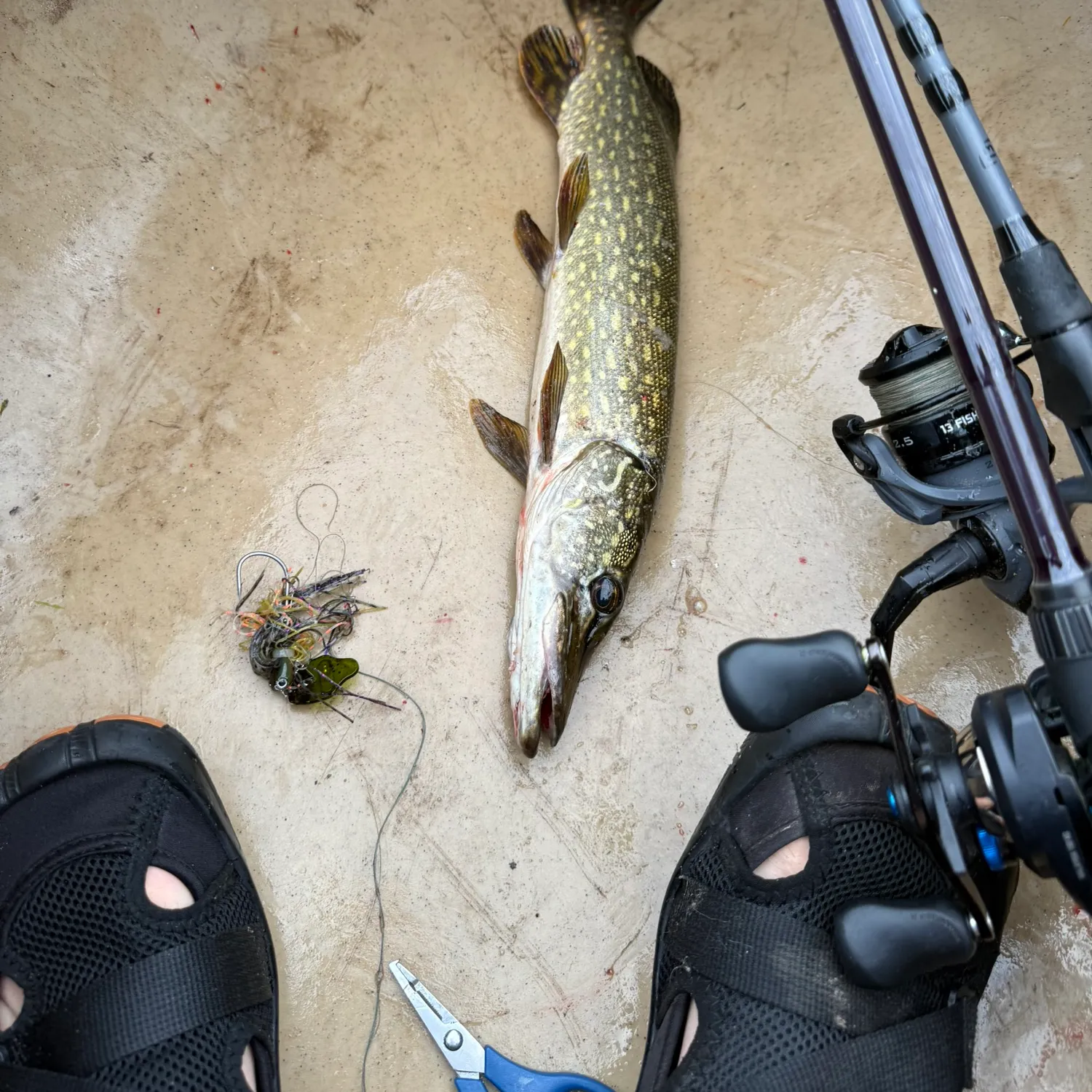 catch