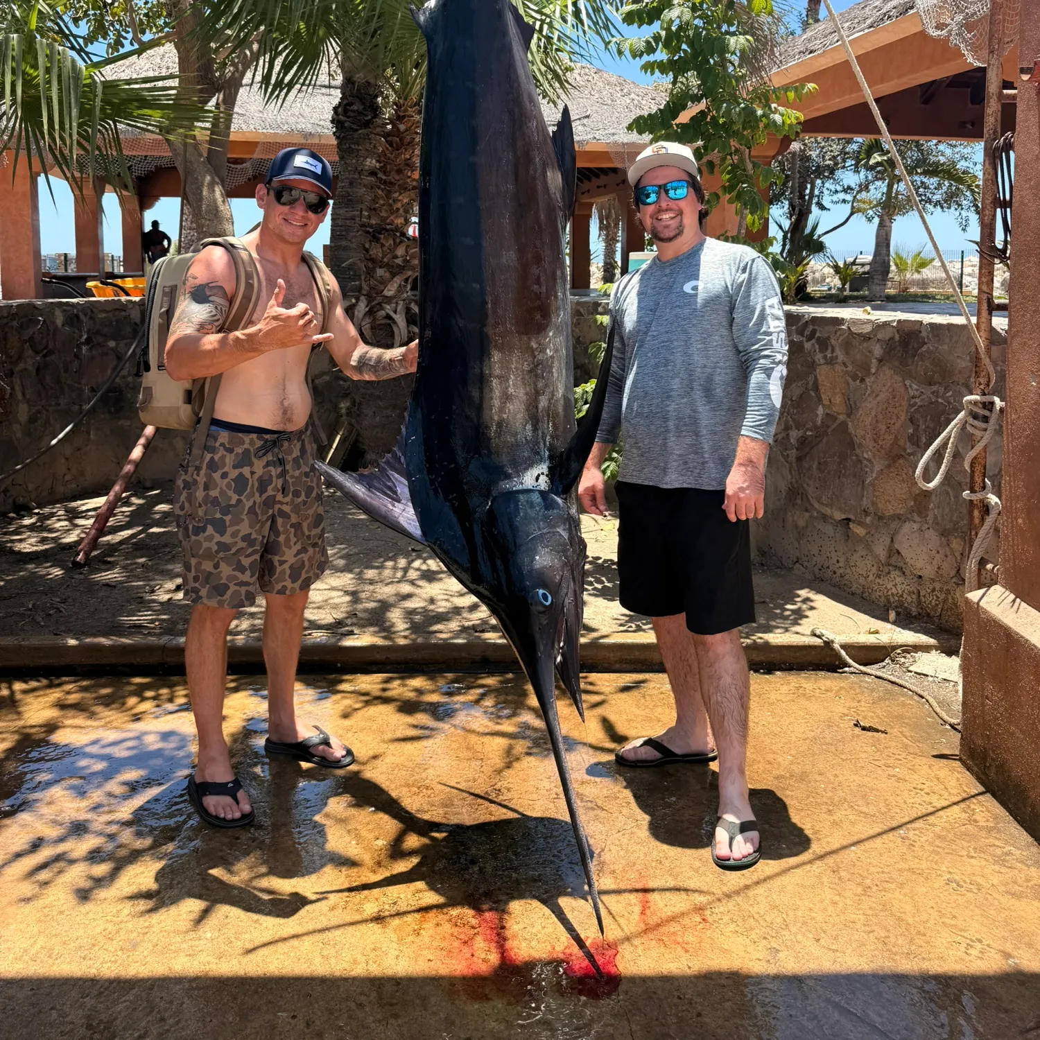 The most recent Atlantic blue marlin catches on Fishbrain
