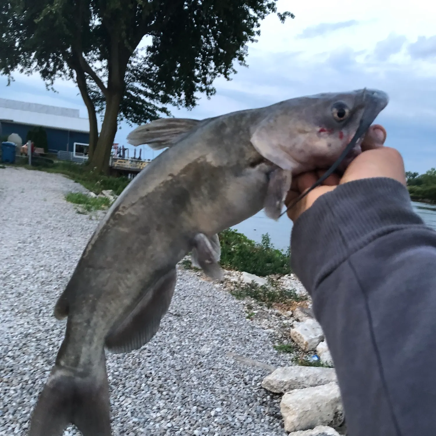 catch