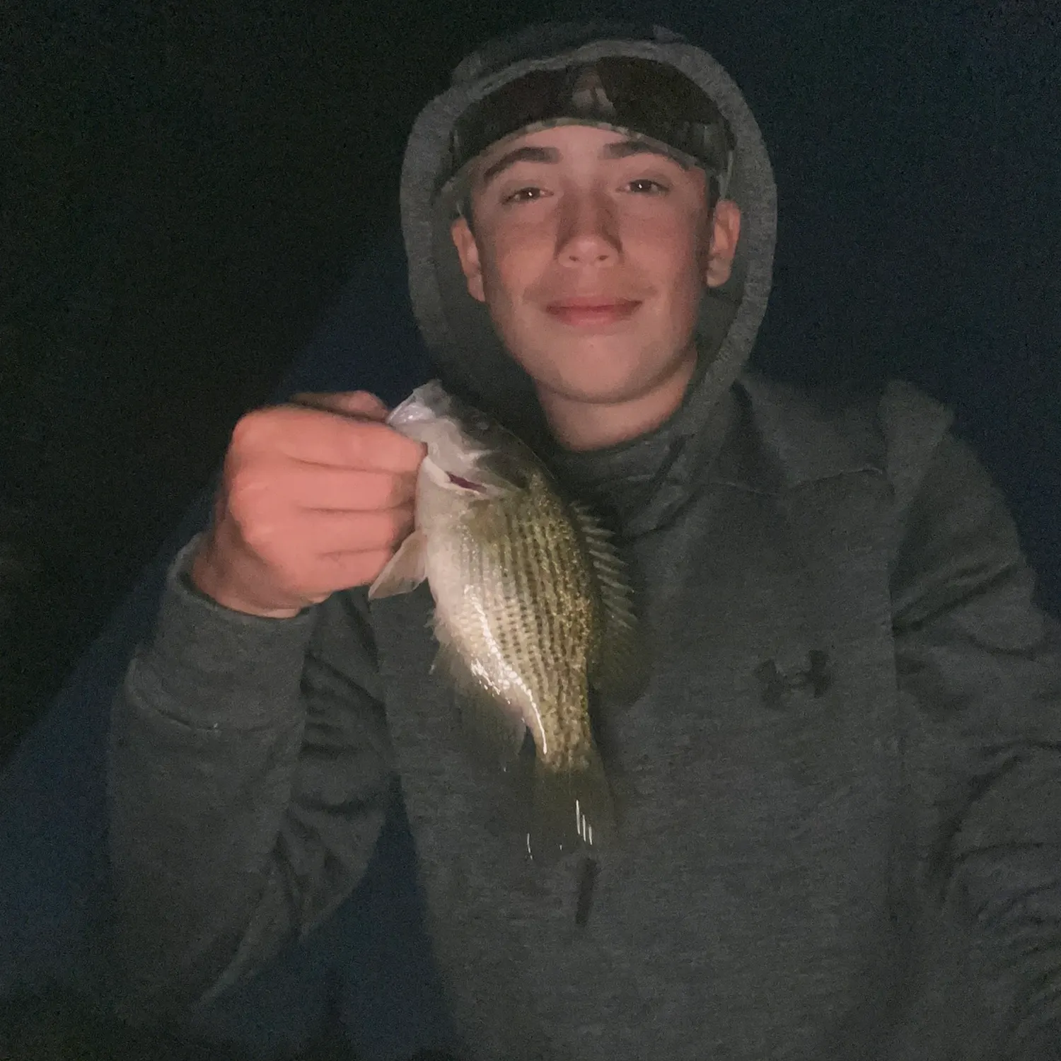 Rock bass caught on Fishbrain