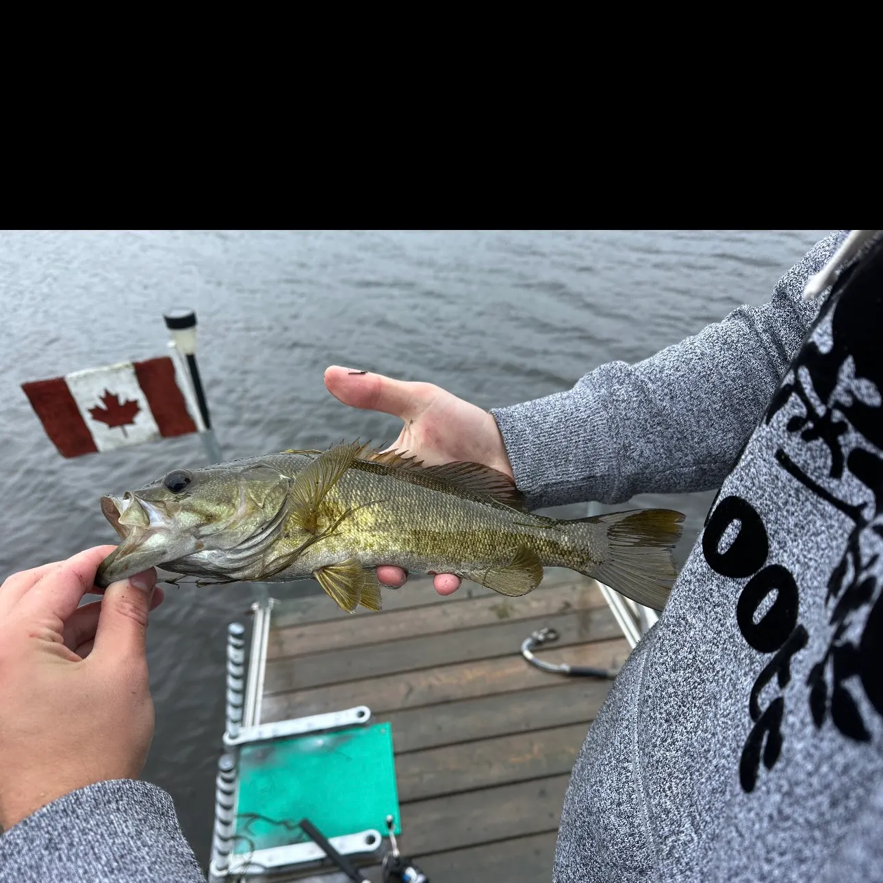 Smallmouth bass caught on Fishbrain