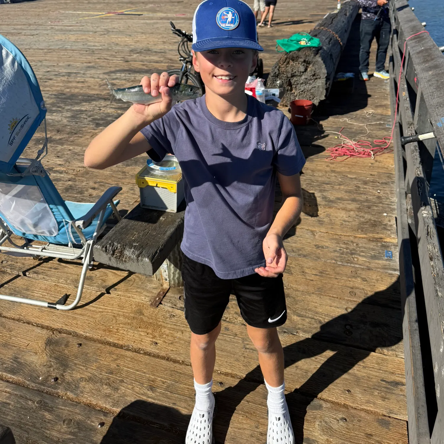 The most recent Japanese pilchard catches on Fishbrain