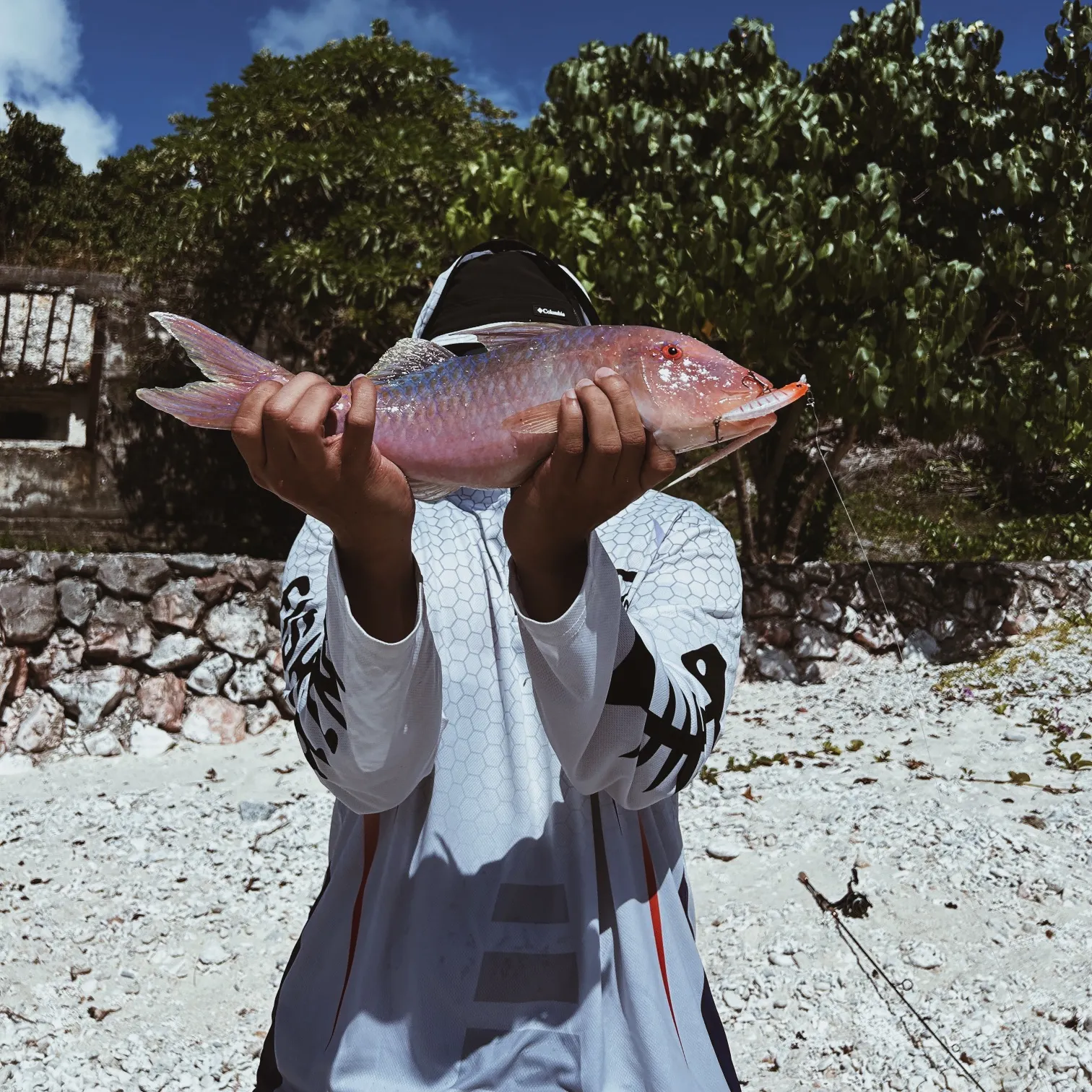 The most recent Whitesaddle goatfish catches on Fishbrain
