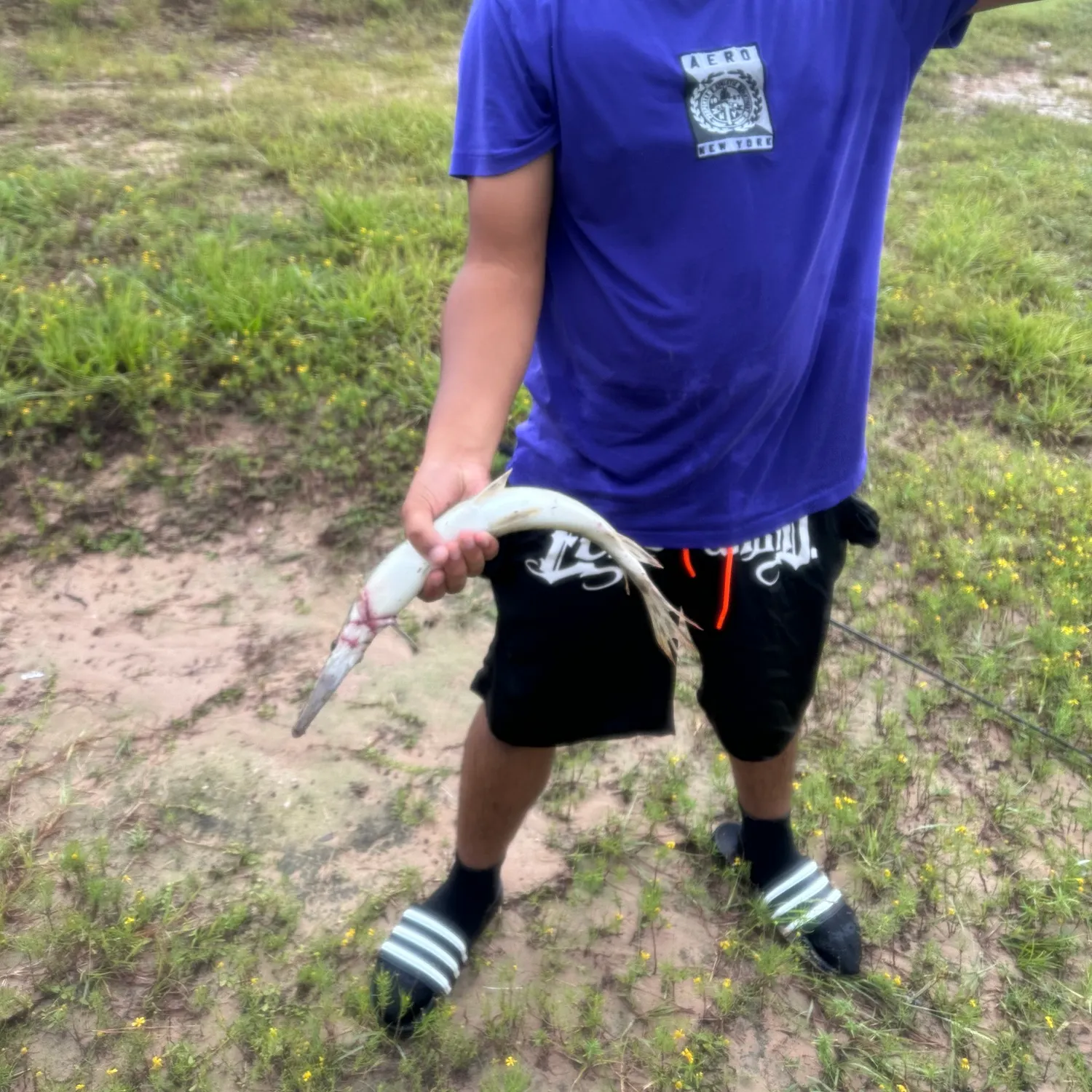 Fish caught on Fishbrain