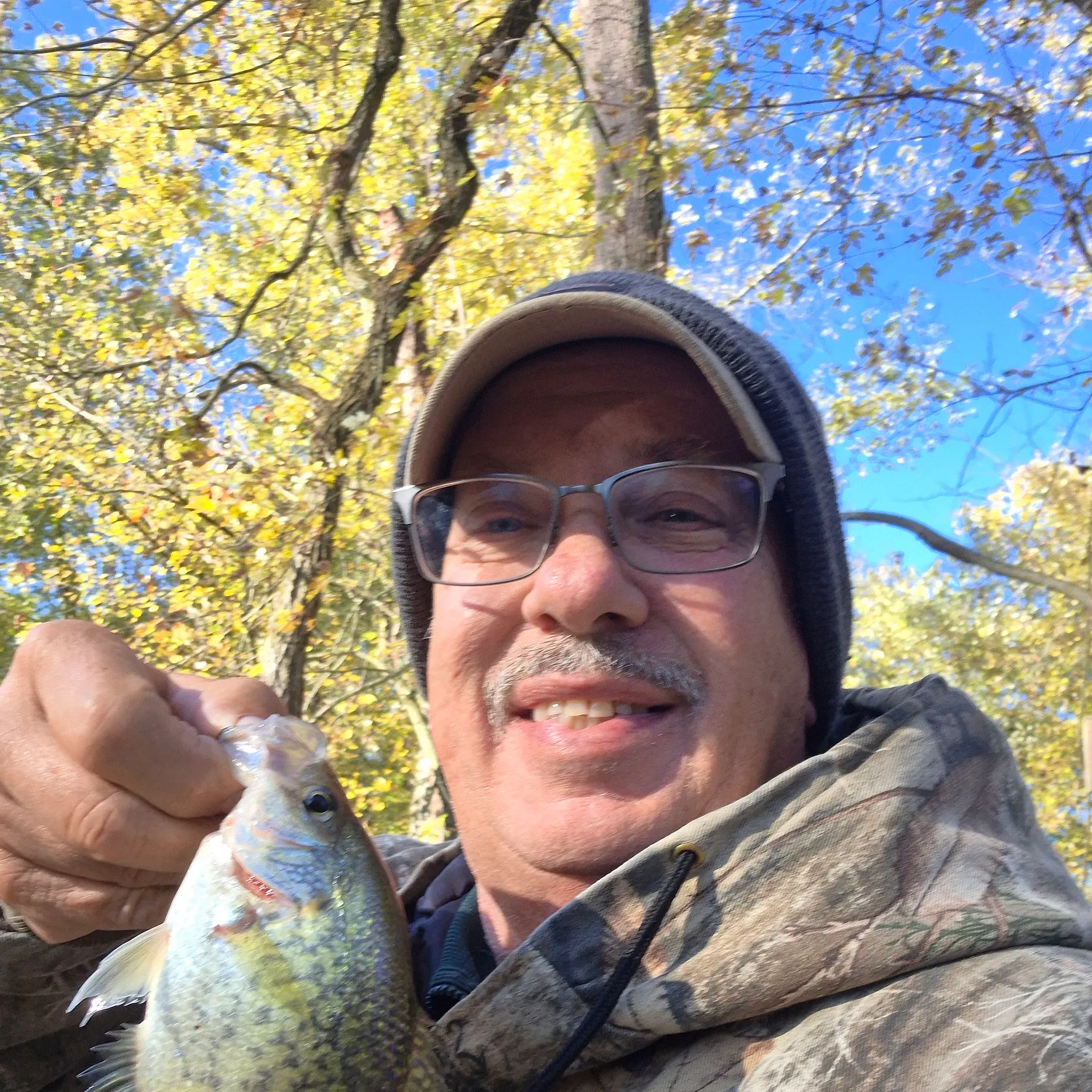 Black crappie caught on Fishbrain