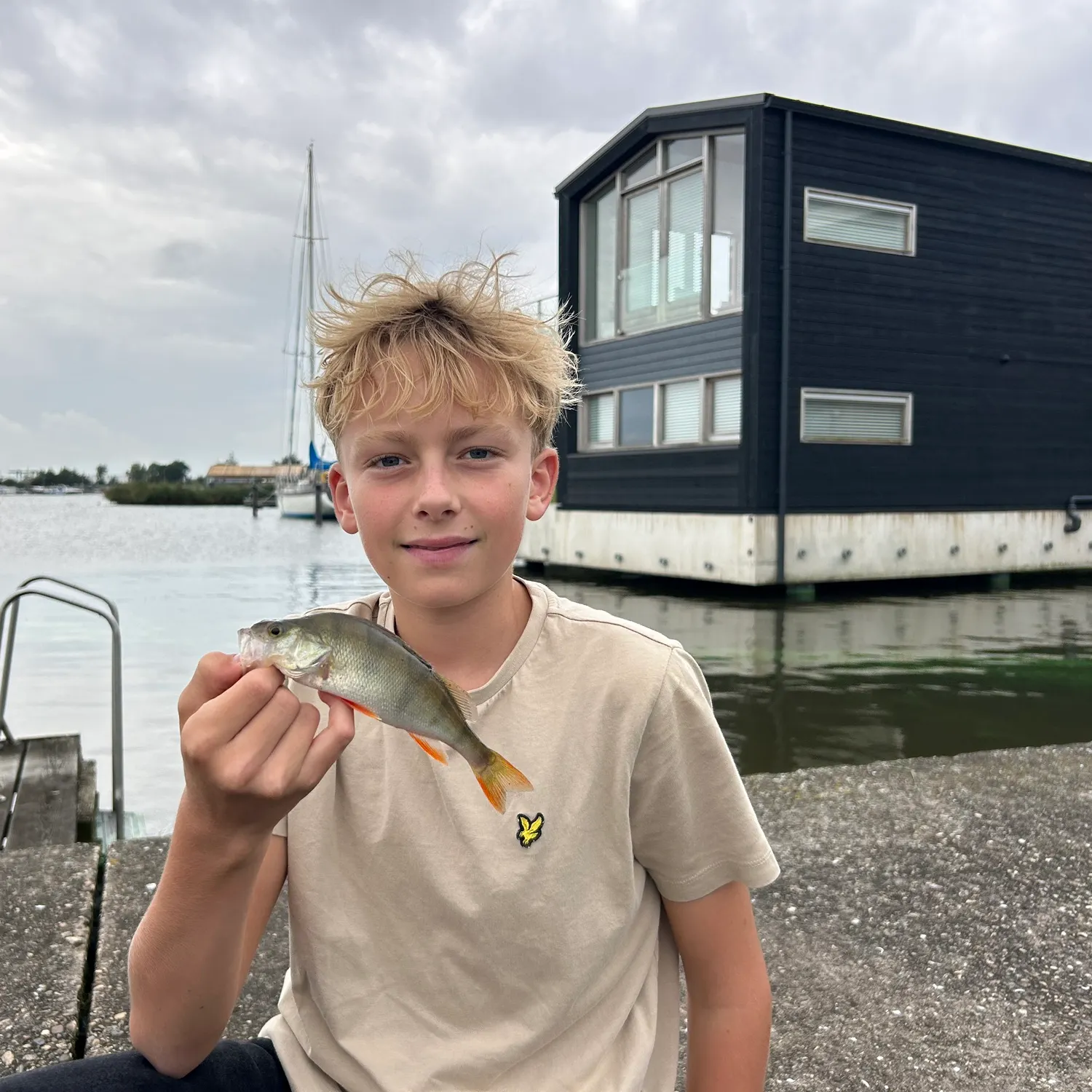 European perch caught on Fishbrain