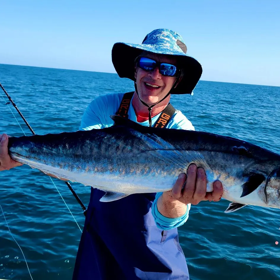 The most recent King mackerel catches on Fishbrain