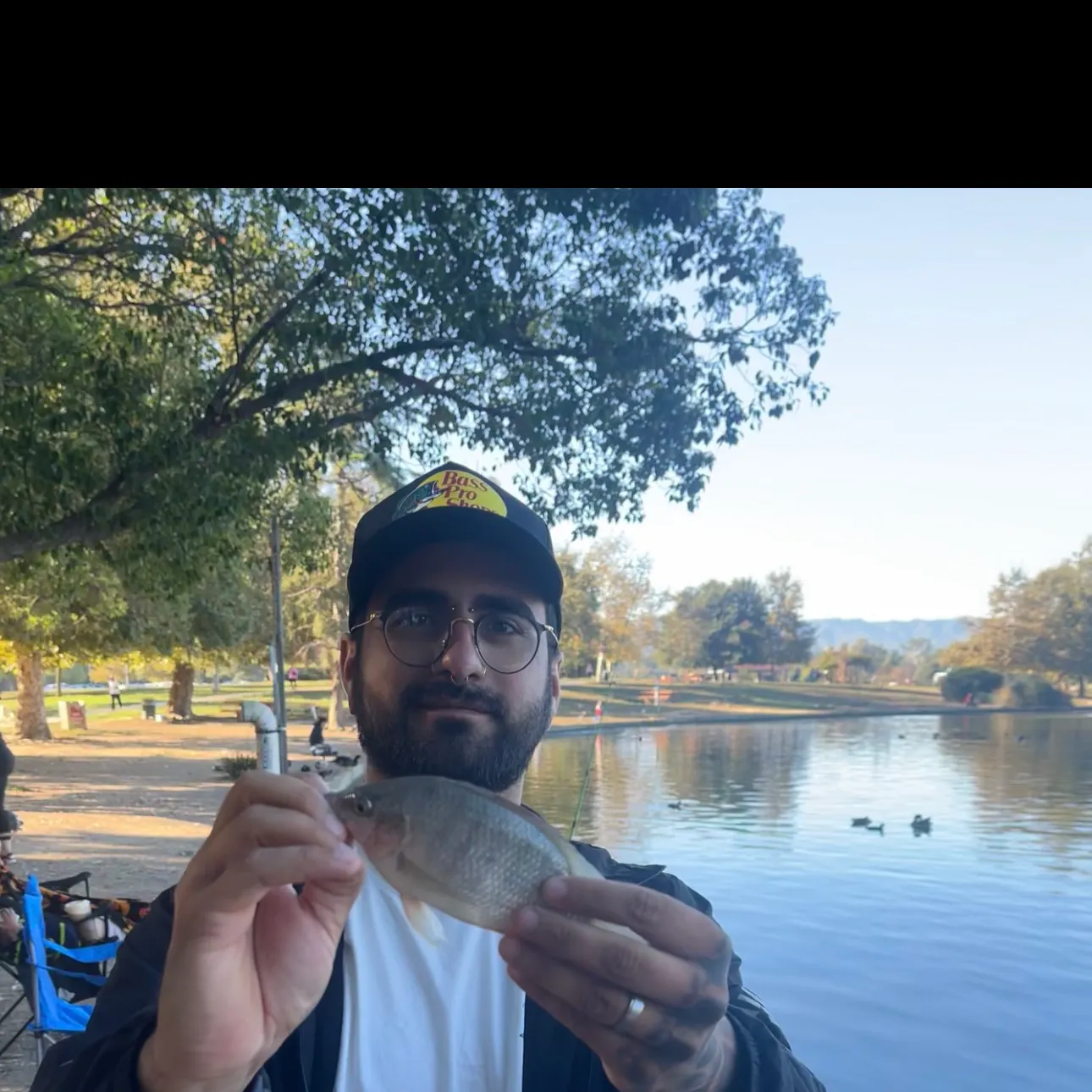 The most recent Mozambique tilapia catches on Fishbrain