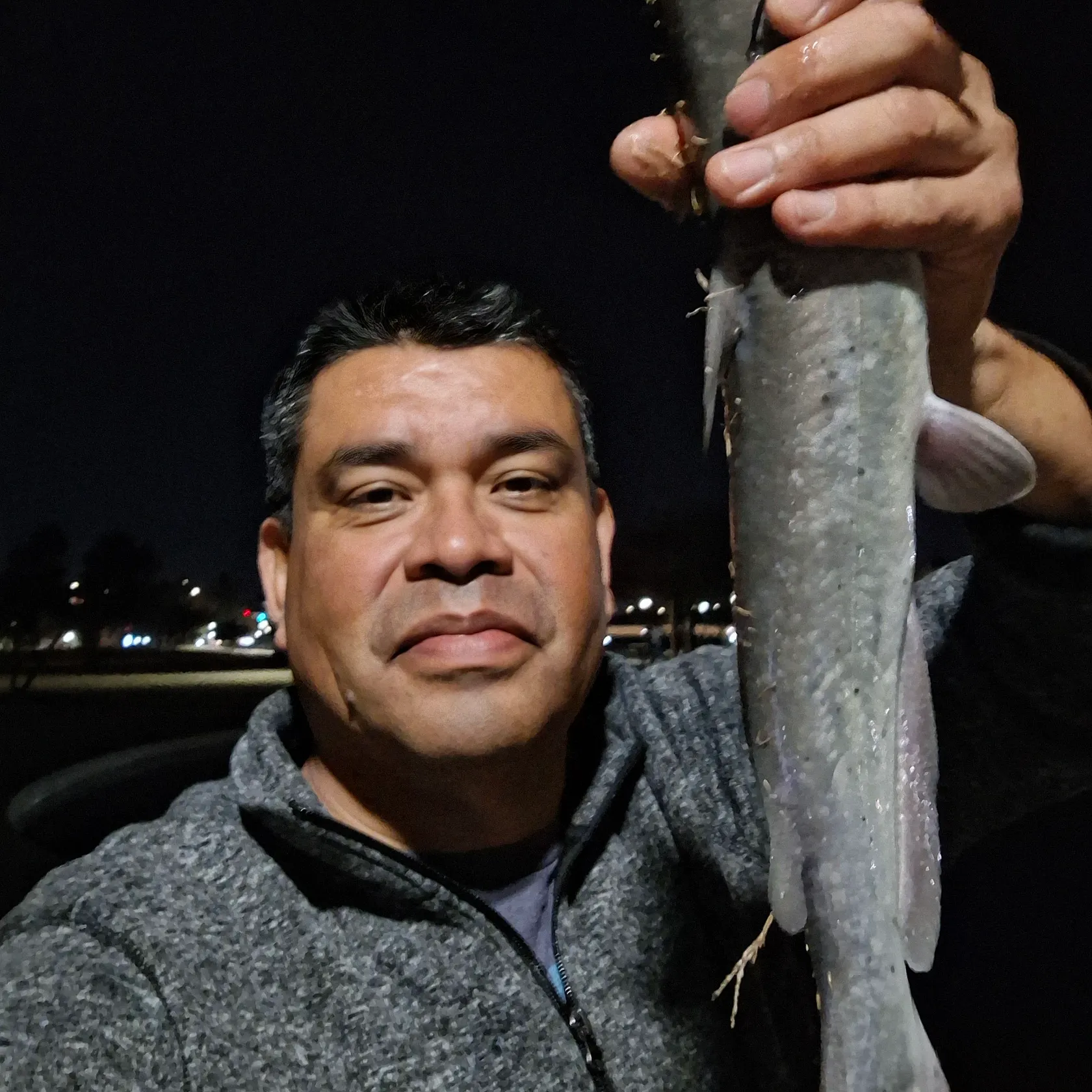 The most recent Channel catfish catches on Fishbrain