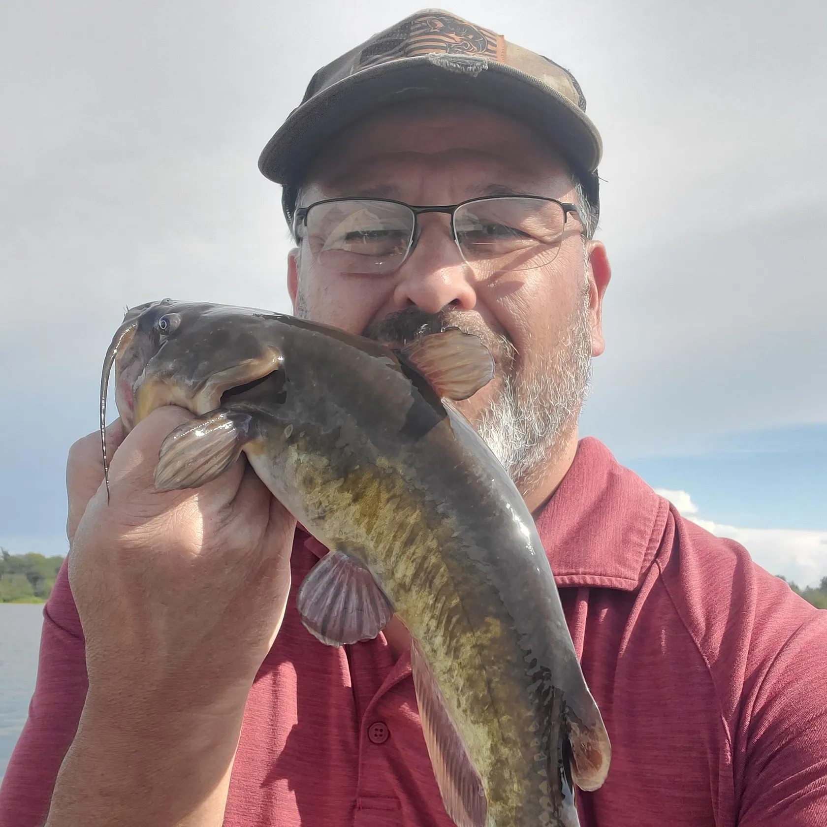 Brown bullhead caught on Fishbrain