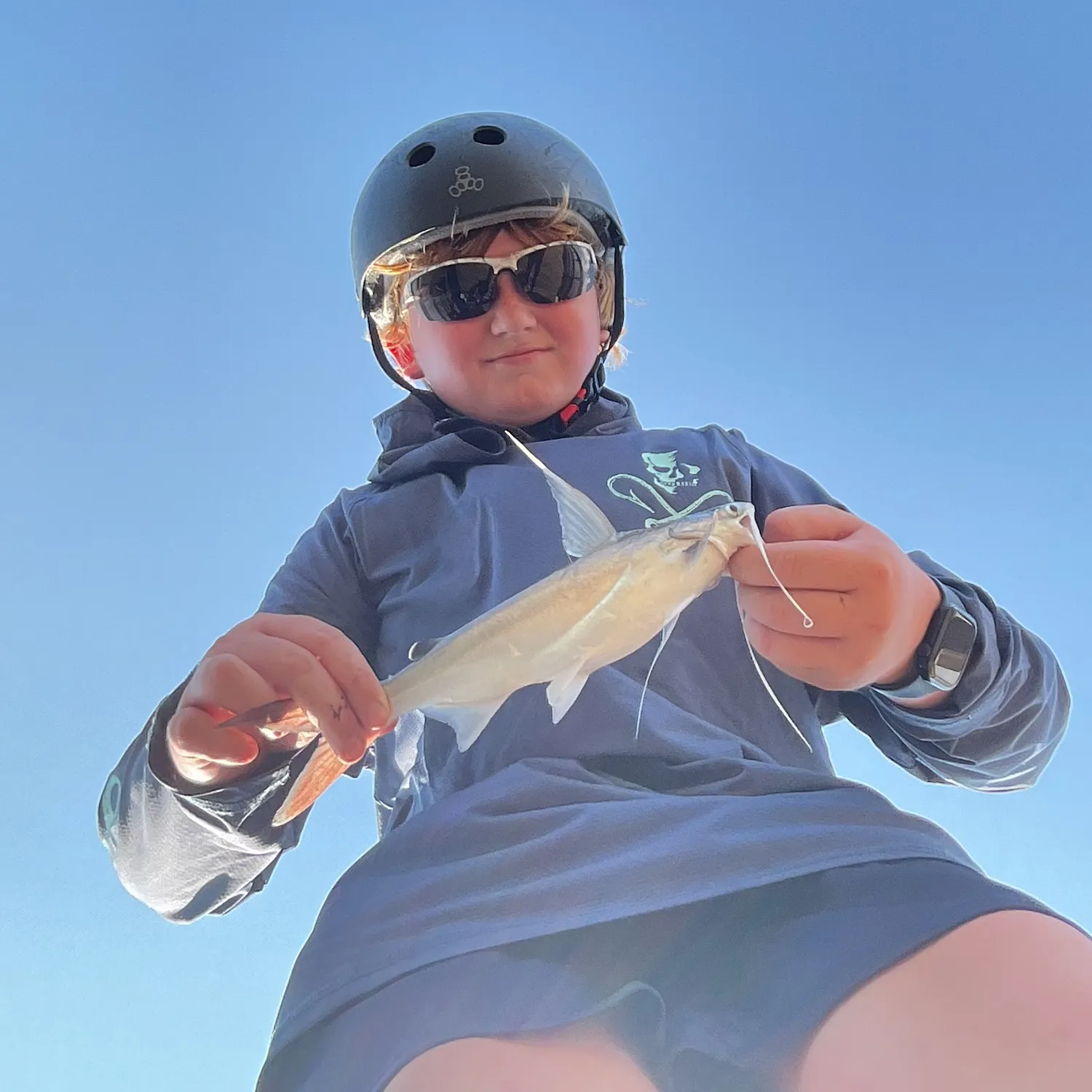 Gafftopsail sea catfish caught on Fishbrain