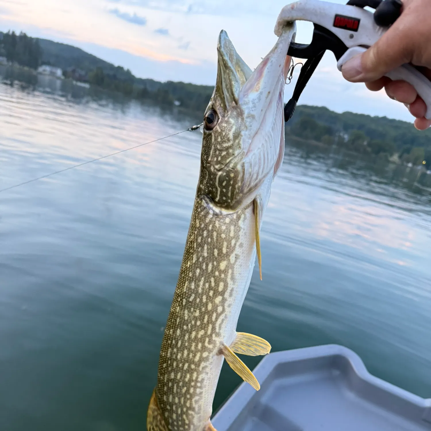 catch