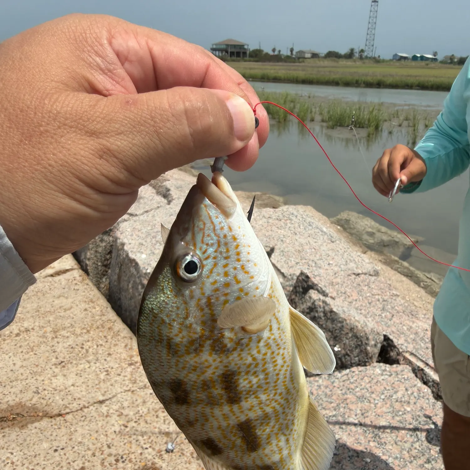 catch